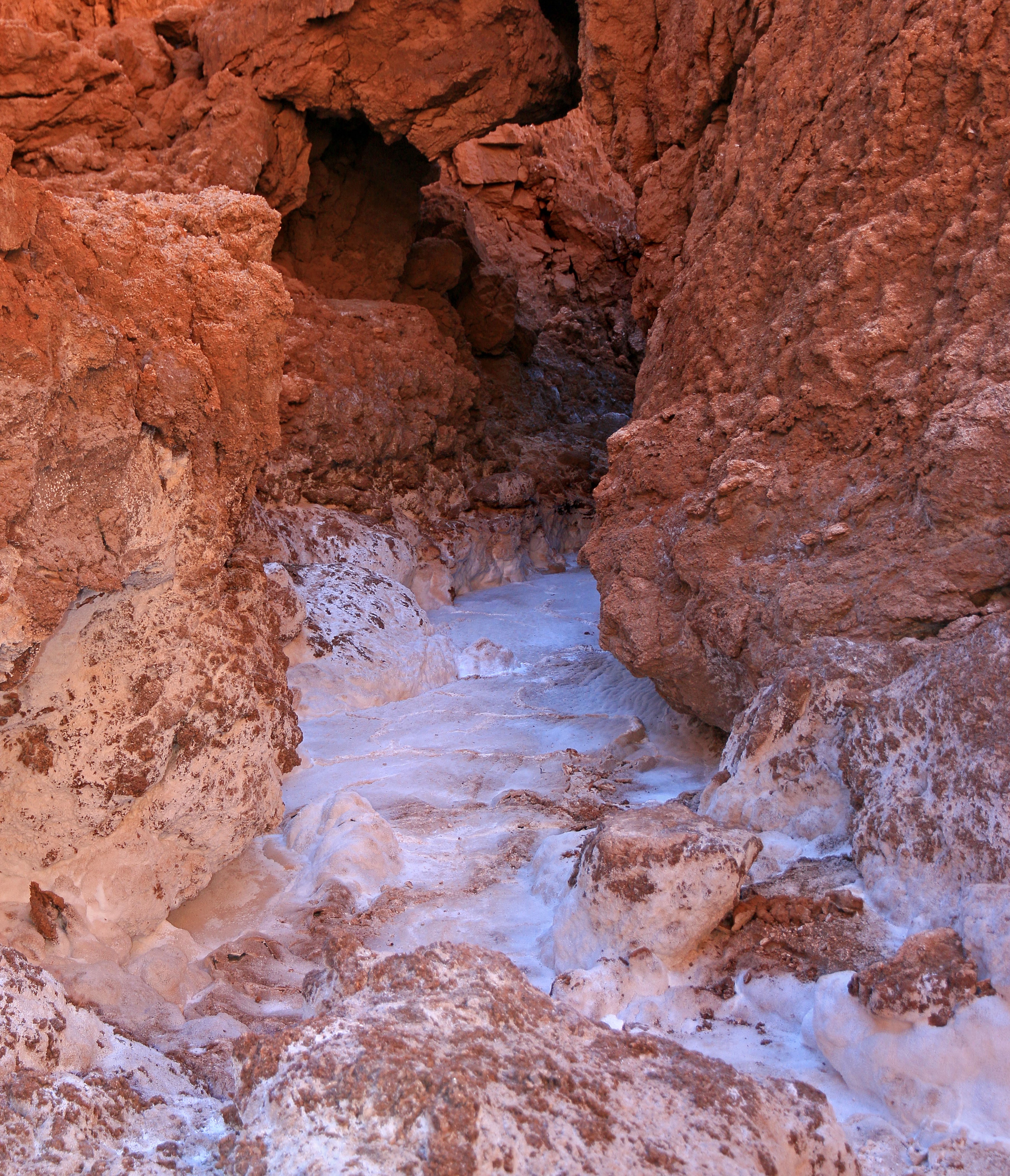 Dernier jour dans l'Altiplano, Atacama et  retour à la civilisation