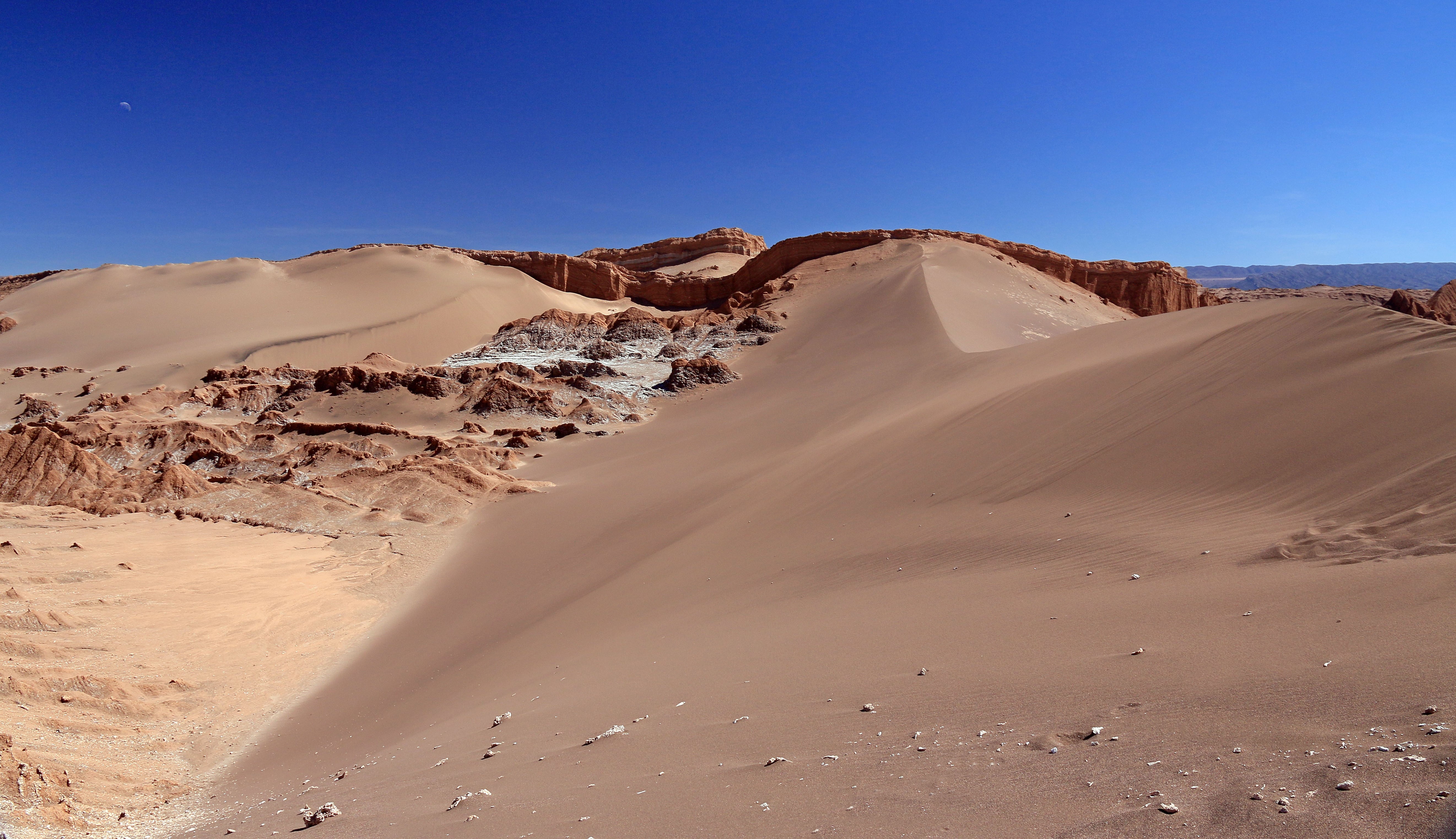 Dernier jour dans l'Altiplano, Atacama et  retour à la civilisation