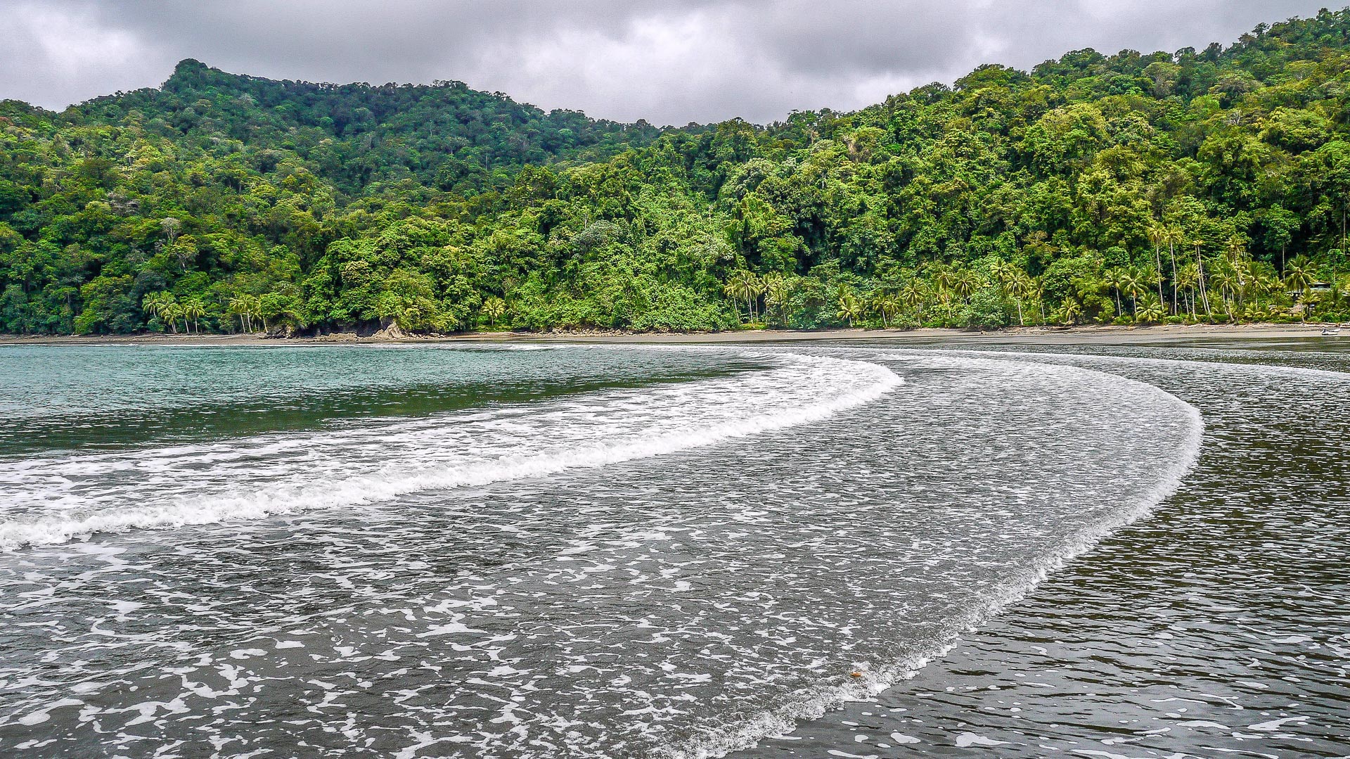 Cote sauvage pacifique - Colombie