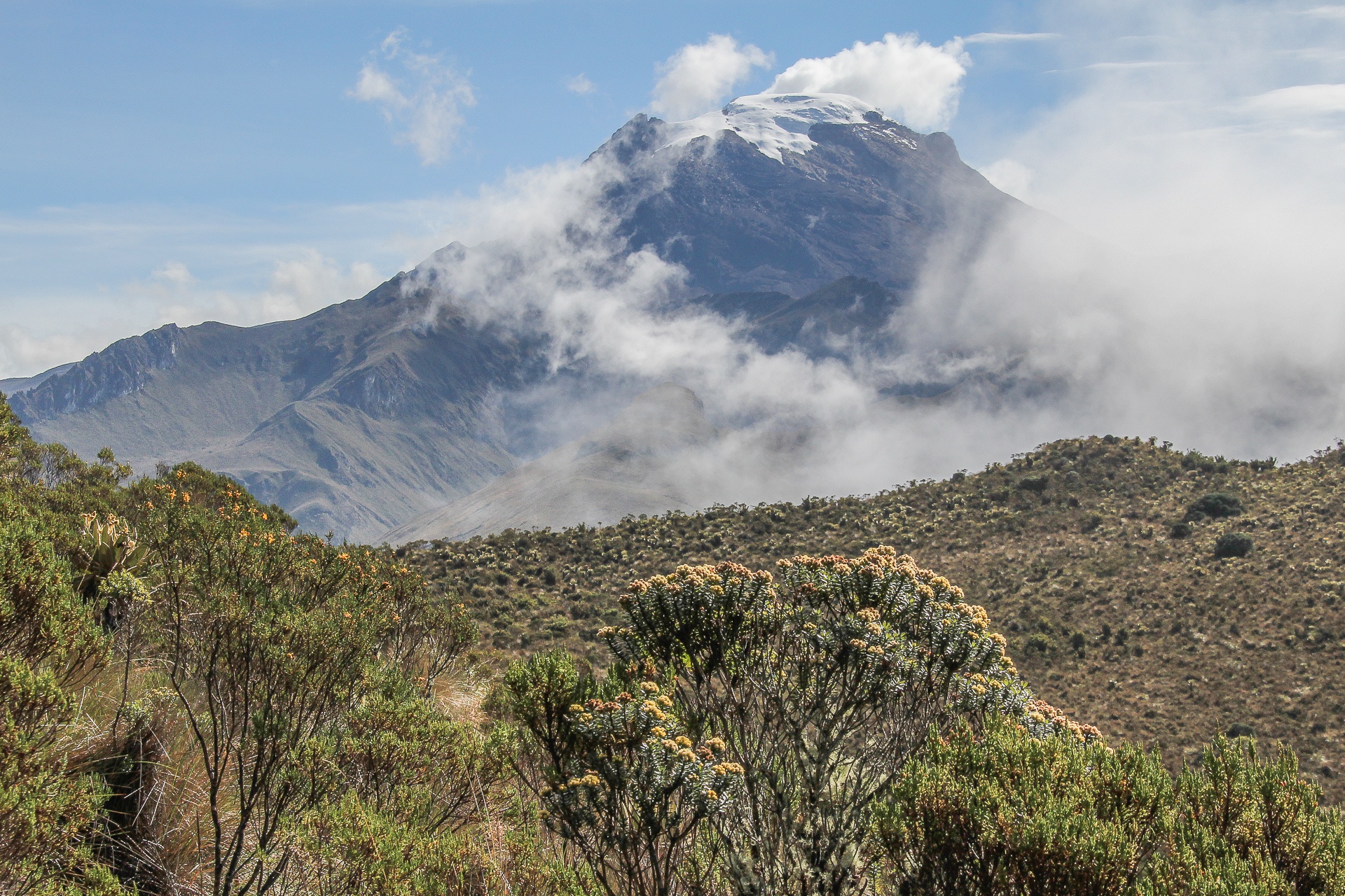 Le Tolima dans le parc Los Nevados - Brésil ou Colombie ?