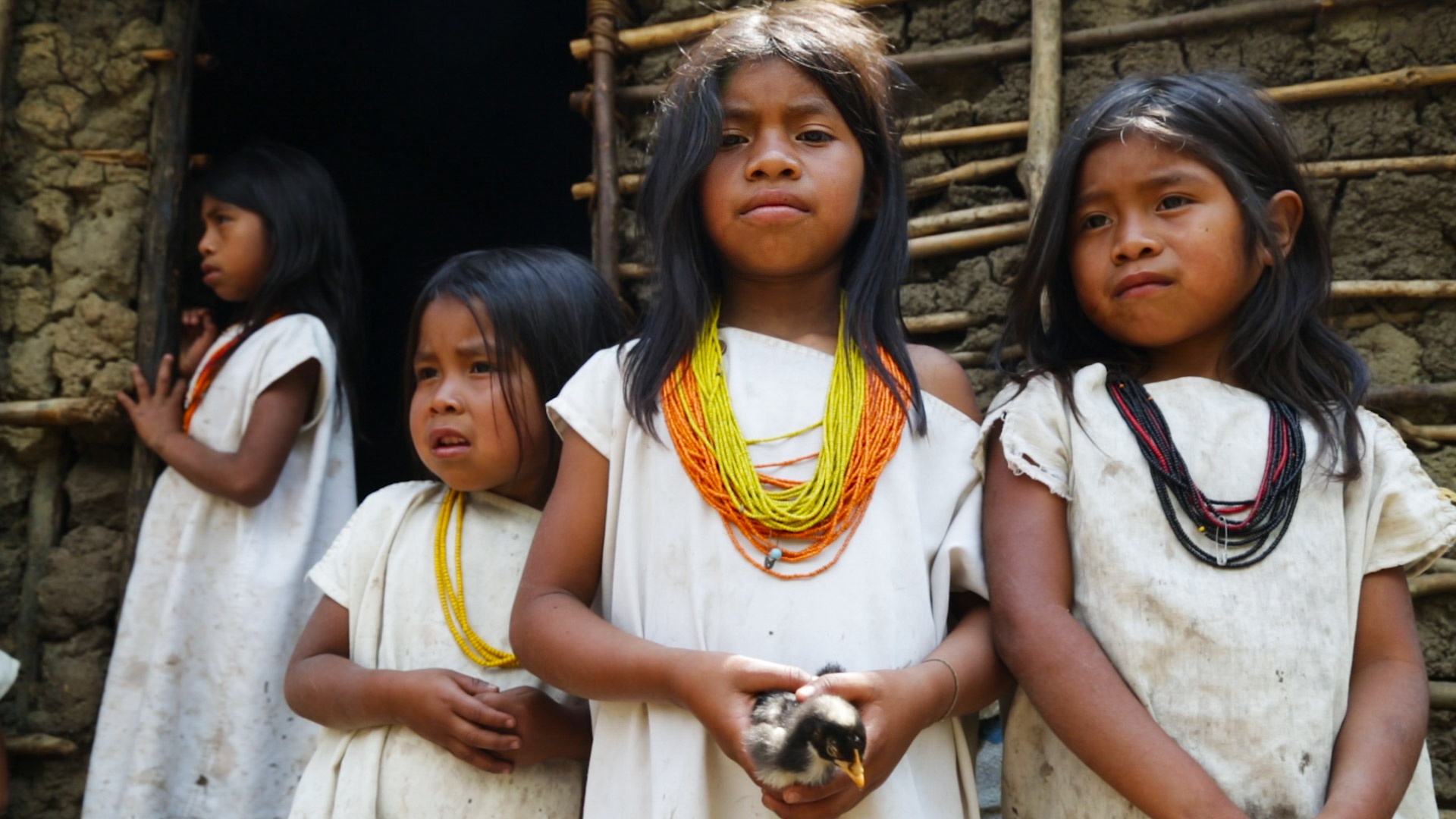 Brésil ou Colombie ?