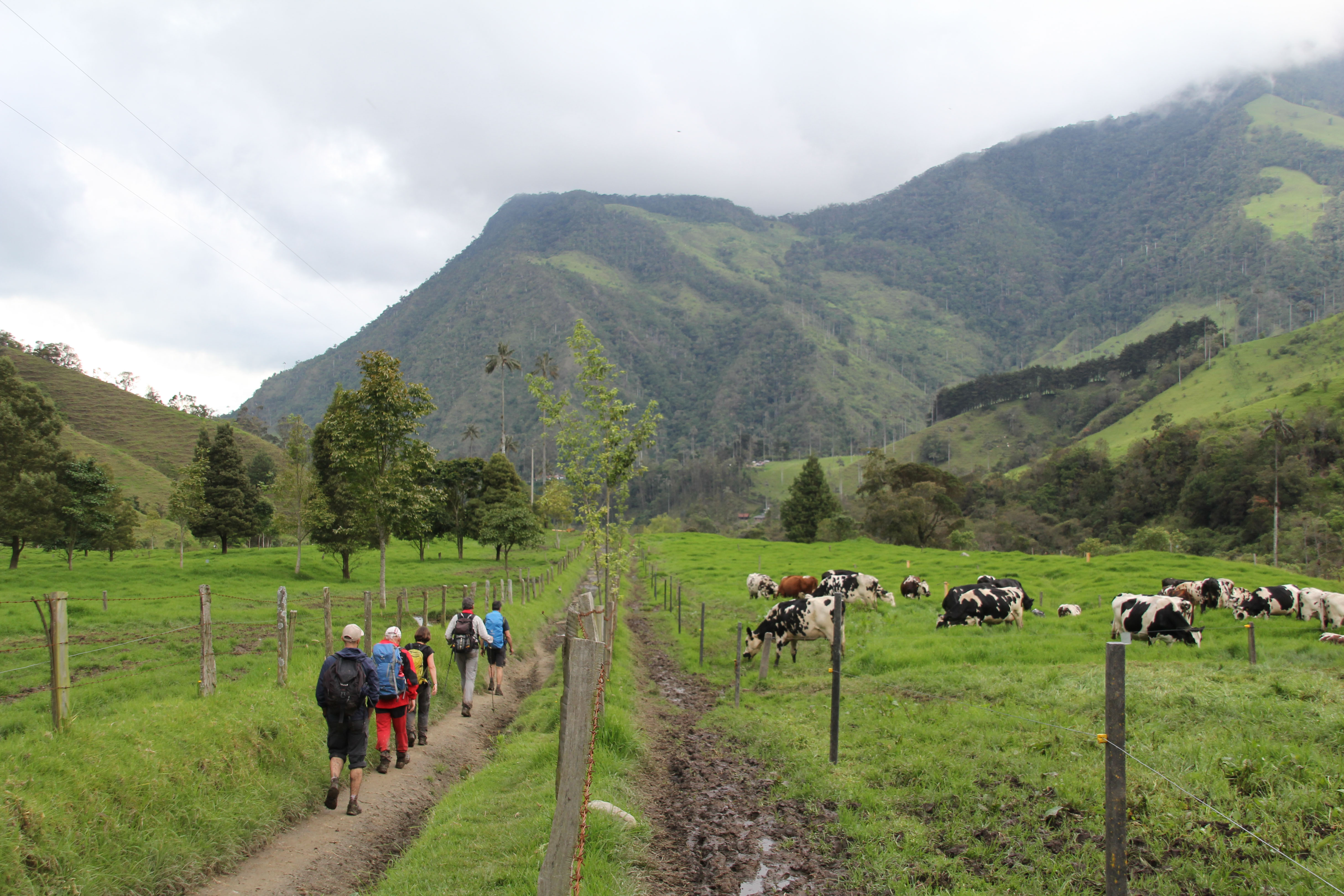 Trek colombie