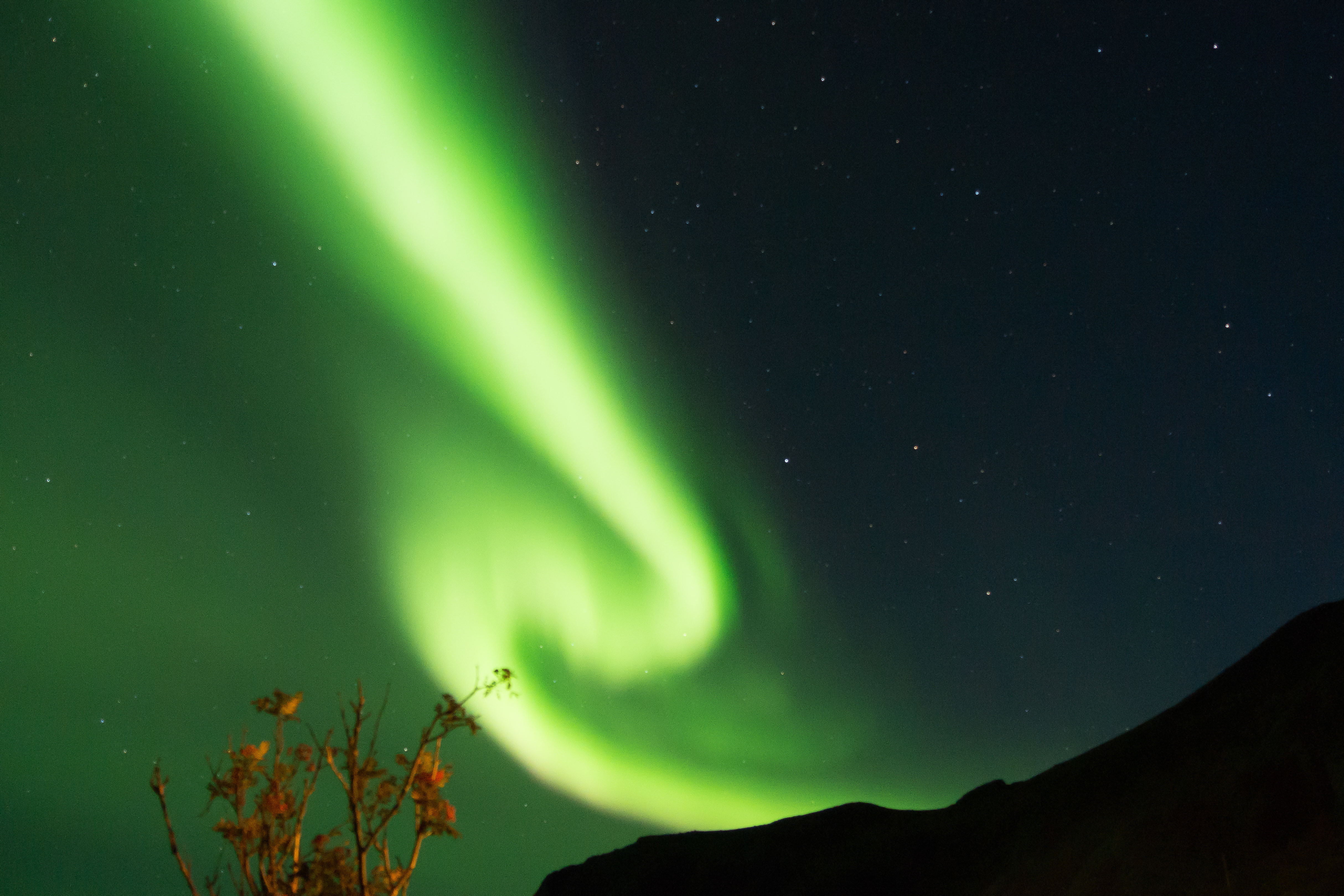 Des Fjords aux Lofoten