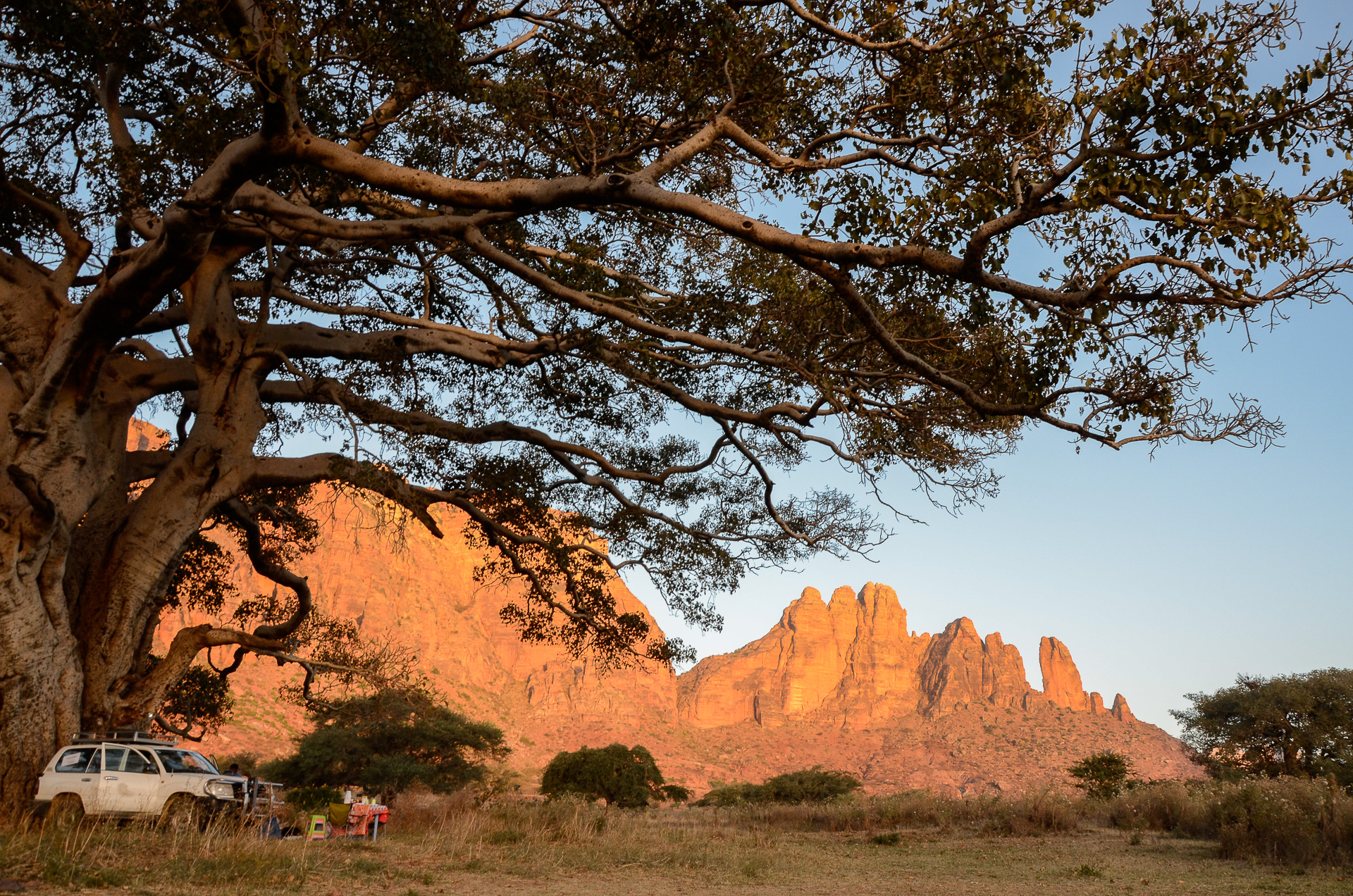 Notre camp sous le grand sycomore