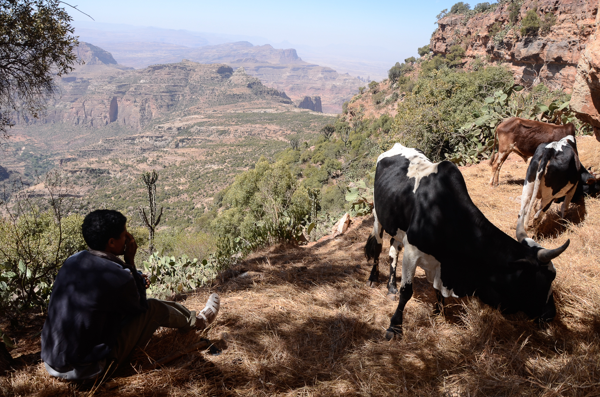 Un éleveur fait une pause ombragée... avec vue - De Gheralta au pays Surma