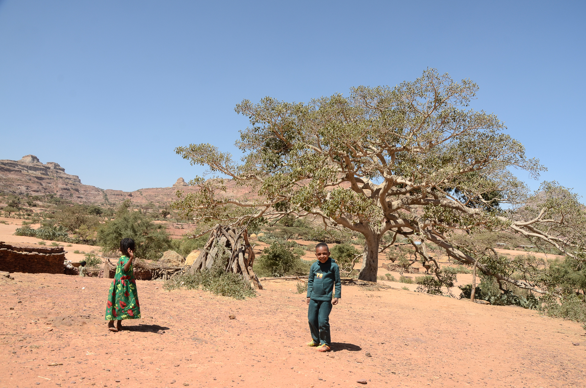 Enfants curieux - De Gheralta au pays Surma