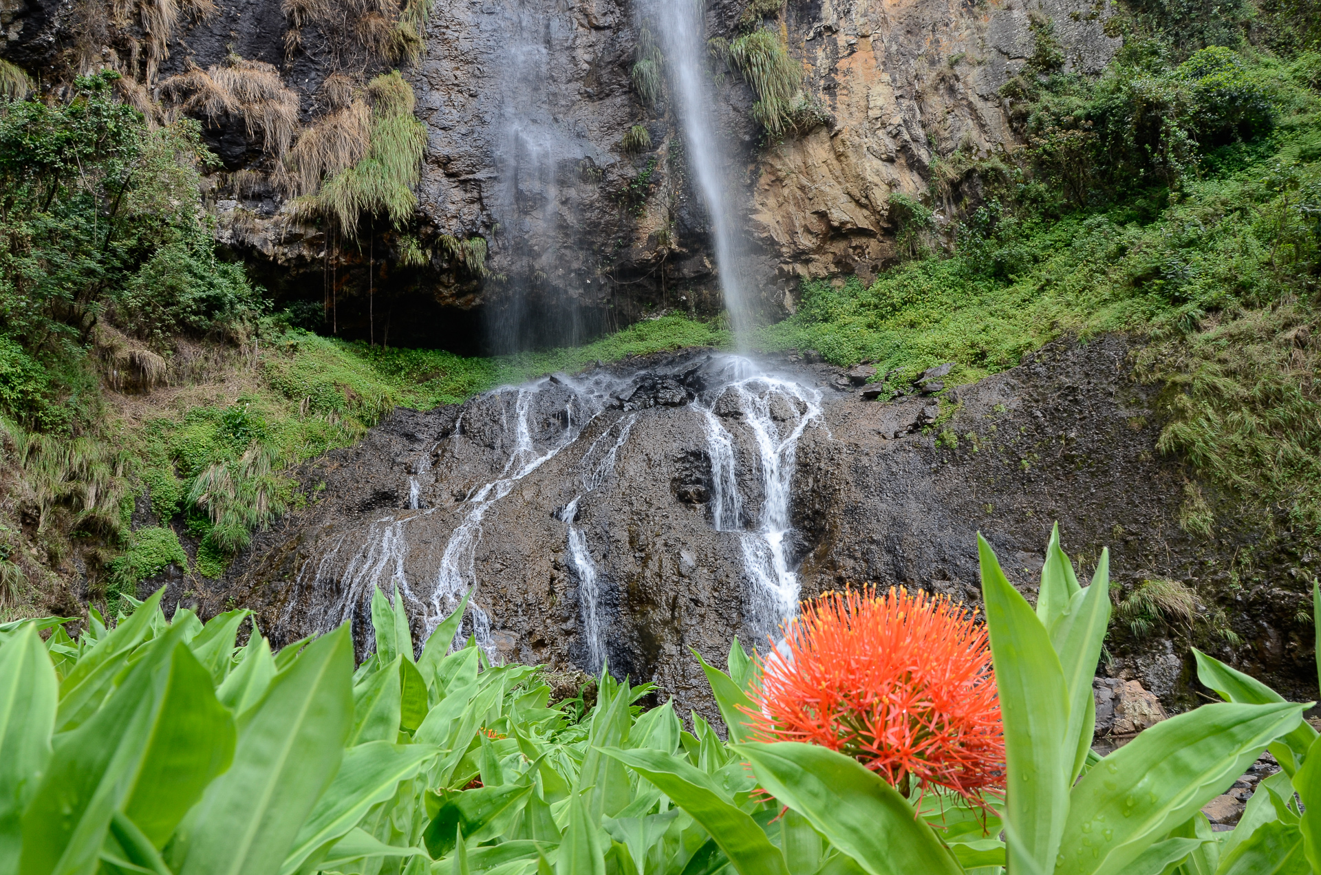 Cascade de Silisili