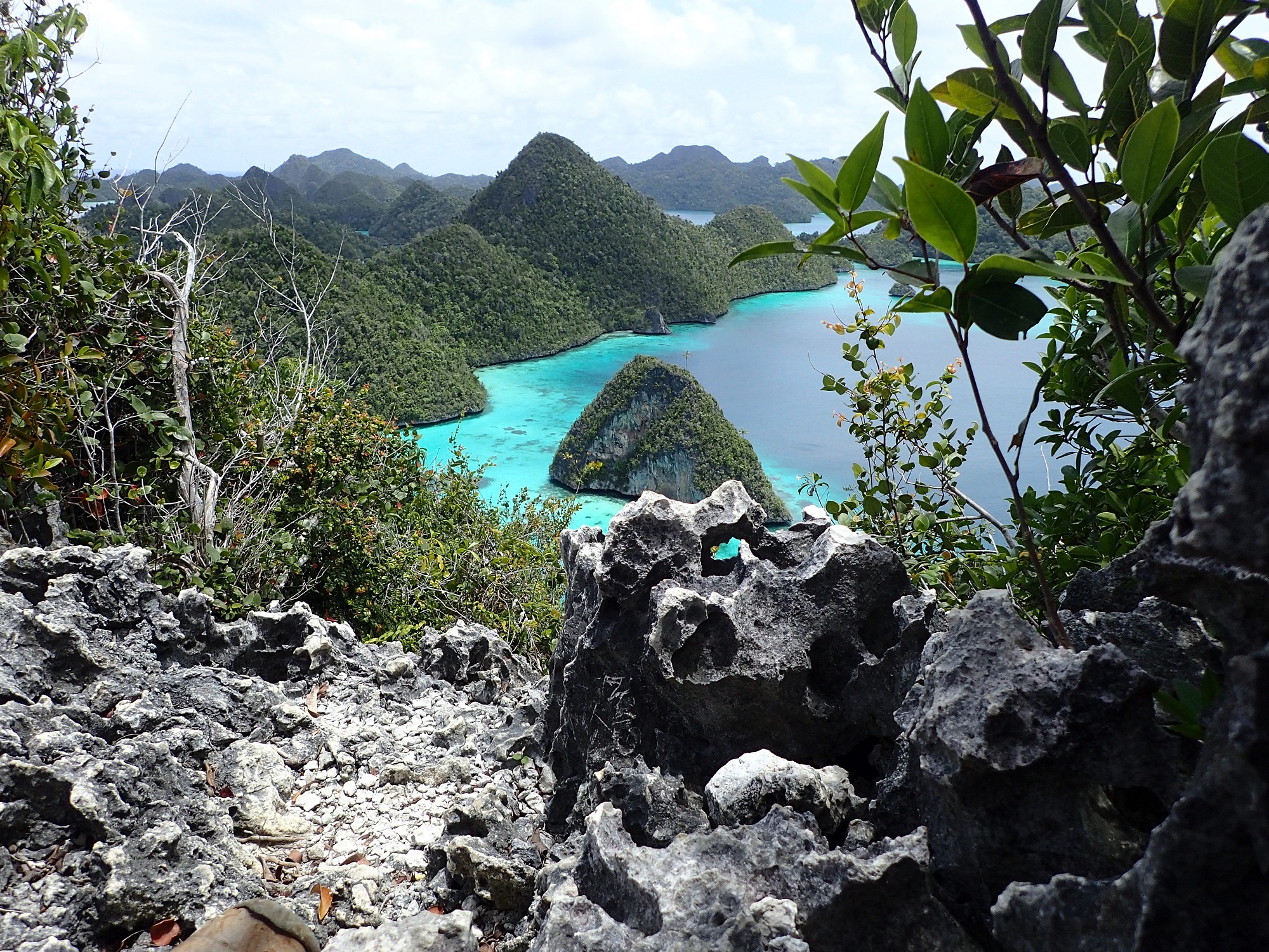 Raja AMpat