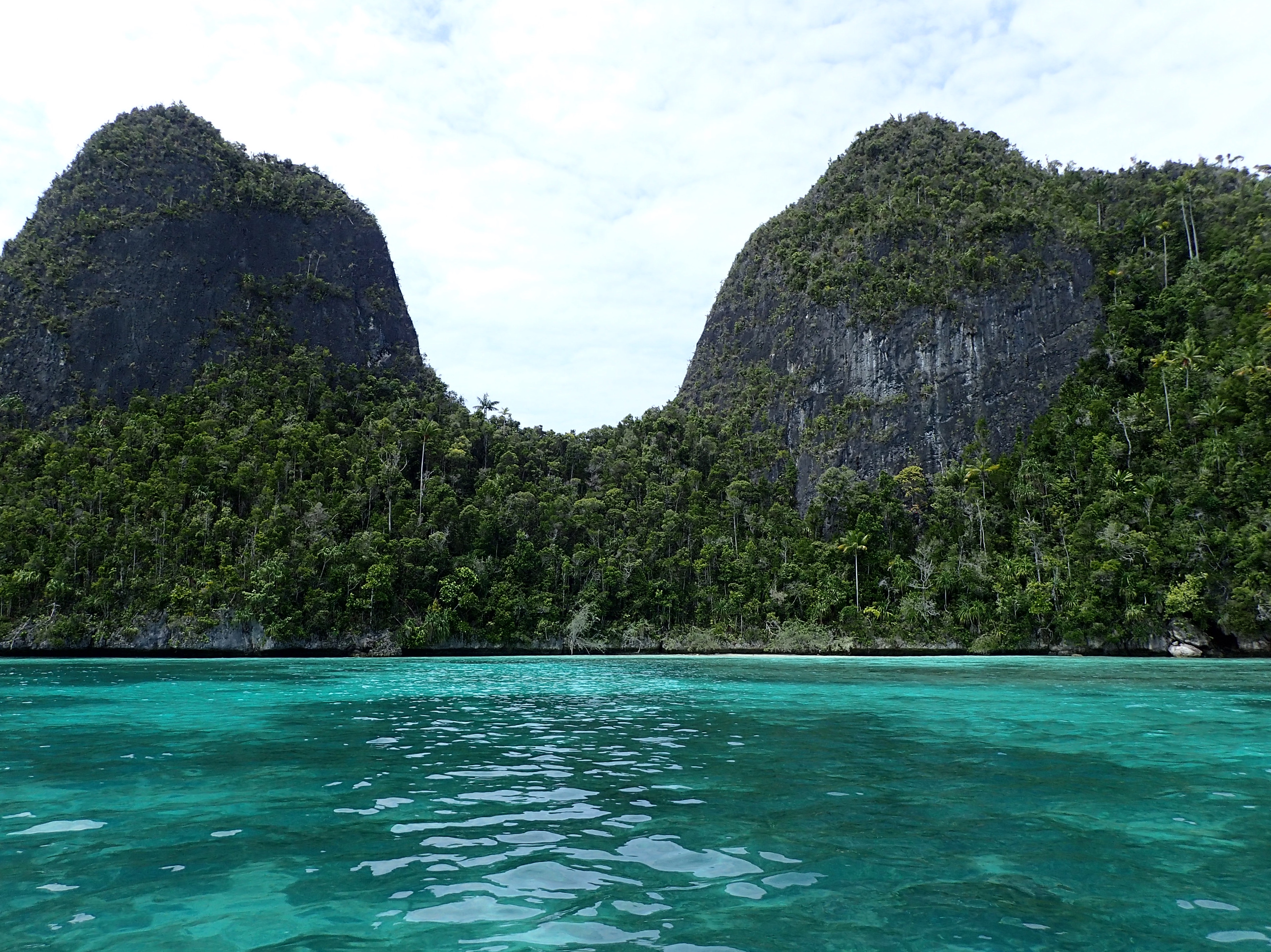 Raja AMpat