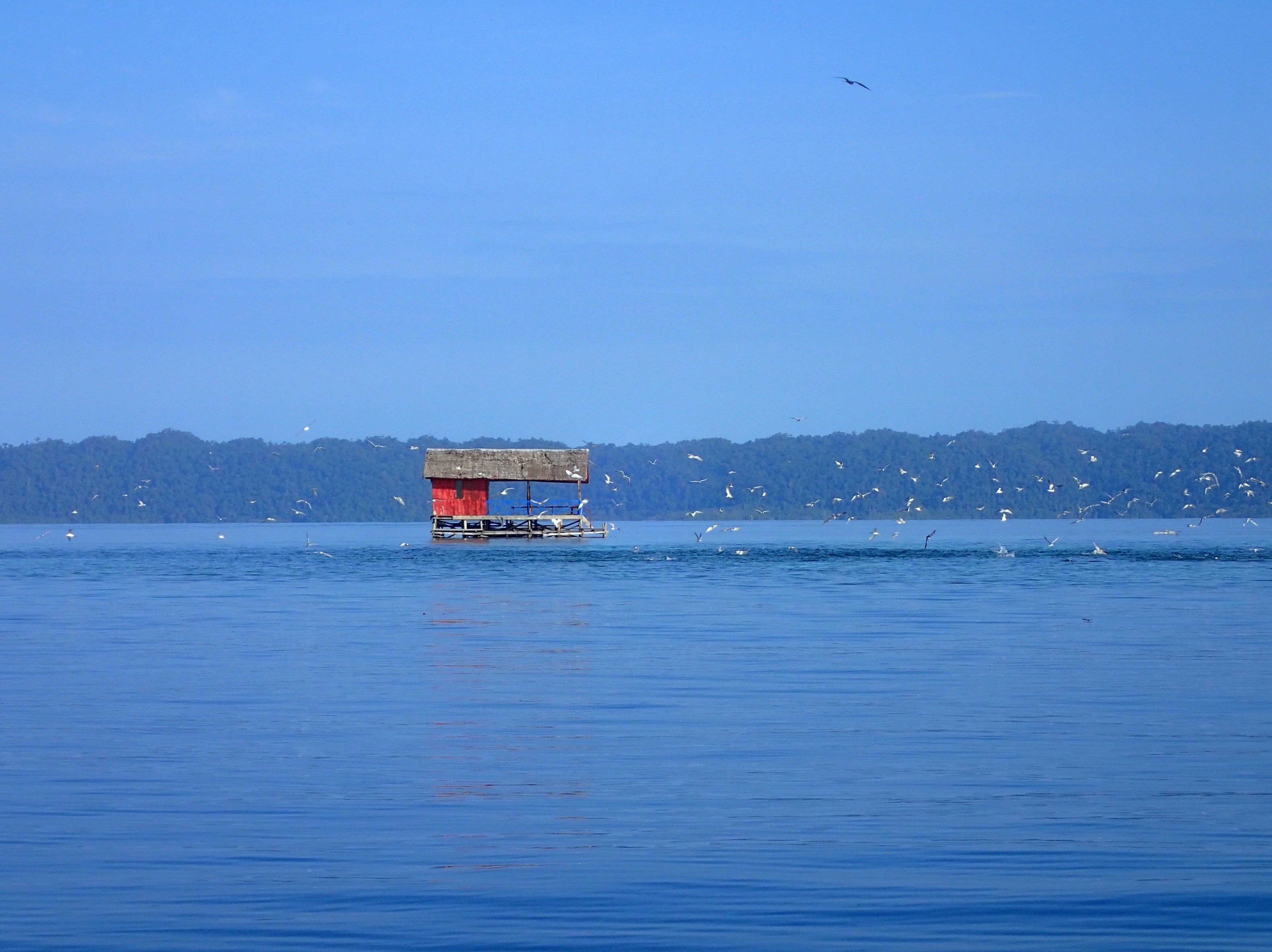 Croisière Raja Ampat aux Moluques TIRAWA