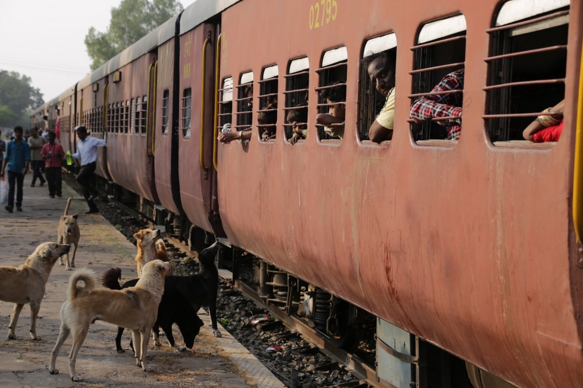 Balade au Rajasthan