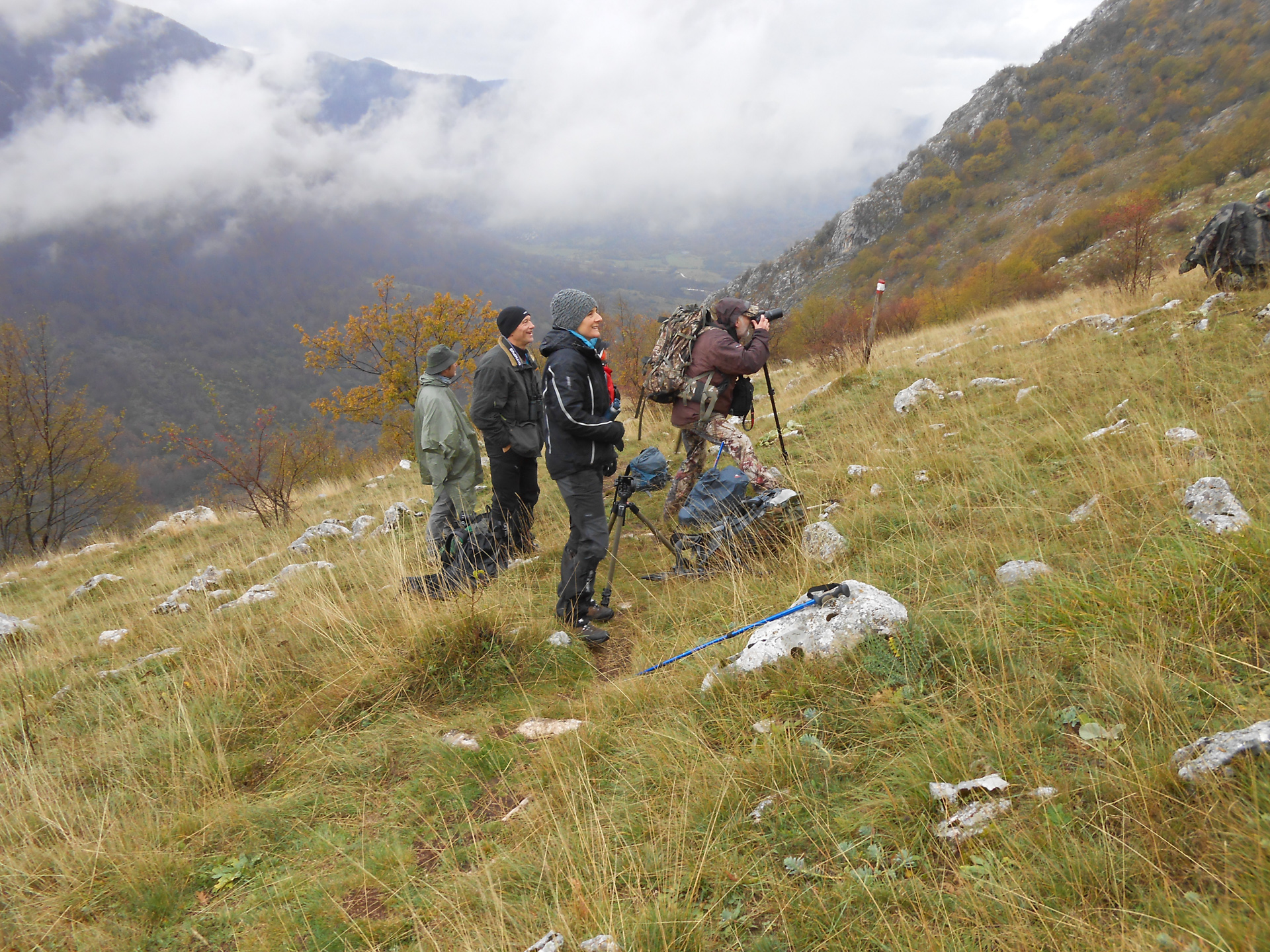 abruzzes, randonnées cerfs en pagaille