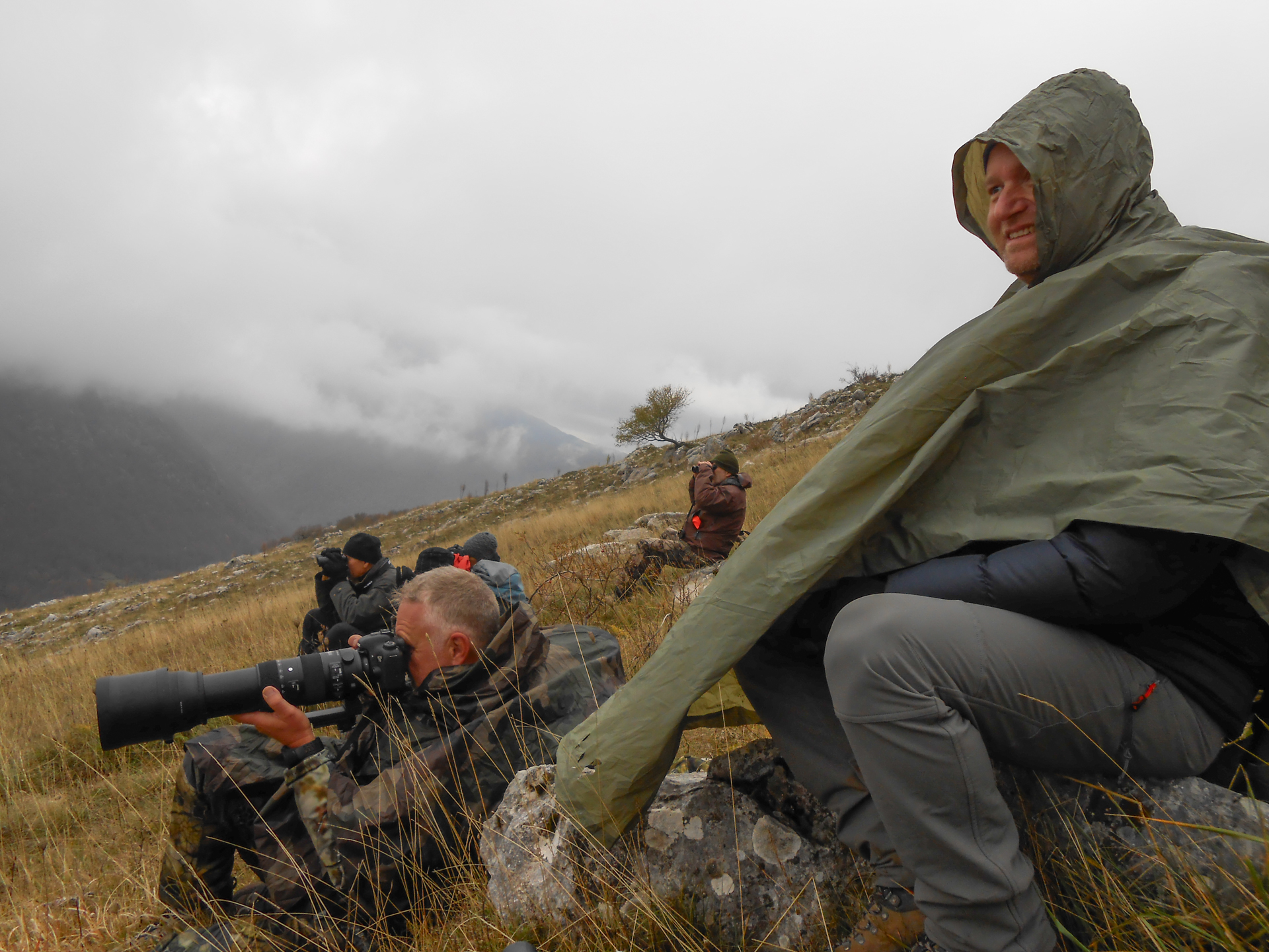 Sur les traces du loup Abruzzes