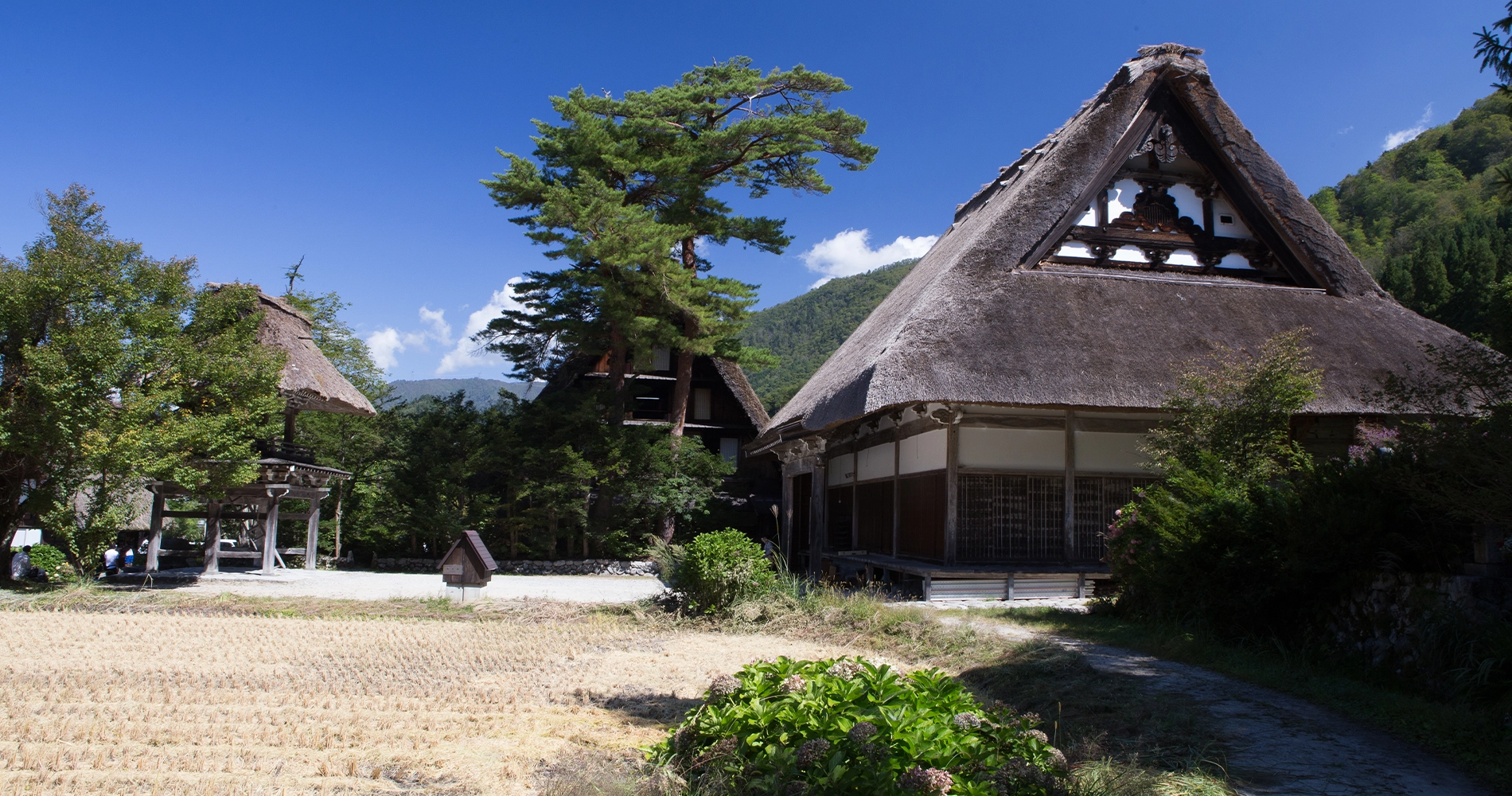 Shirakawago