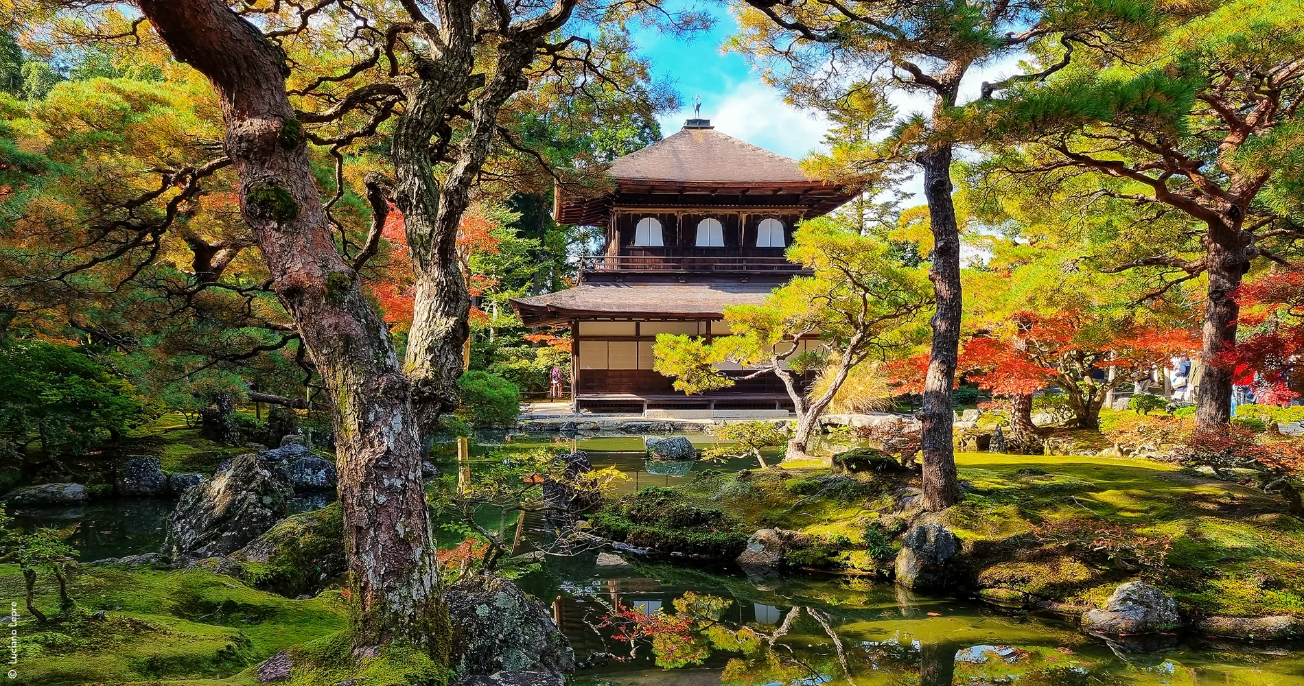 Automne au Japon