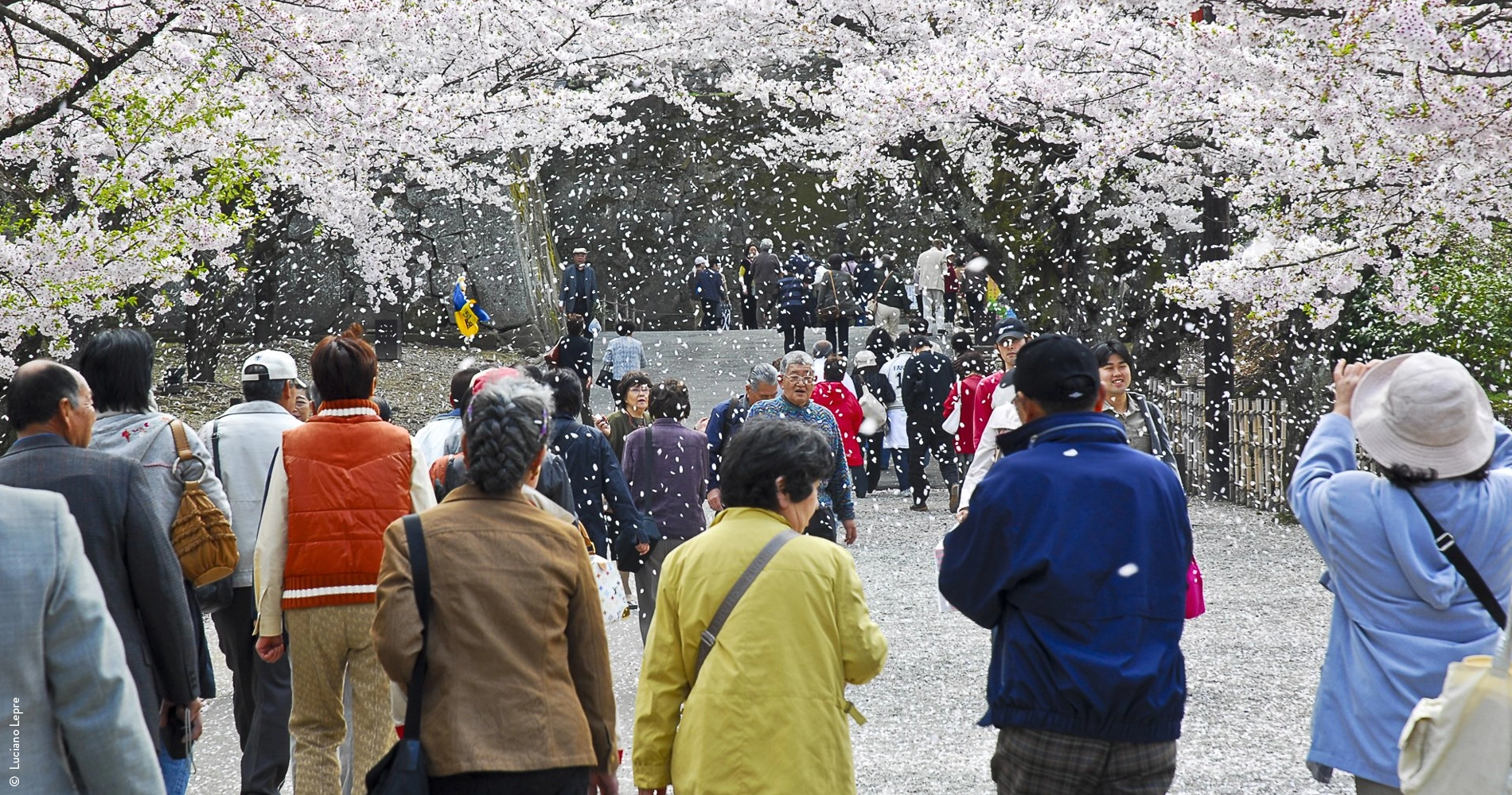 Printemps au Japon