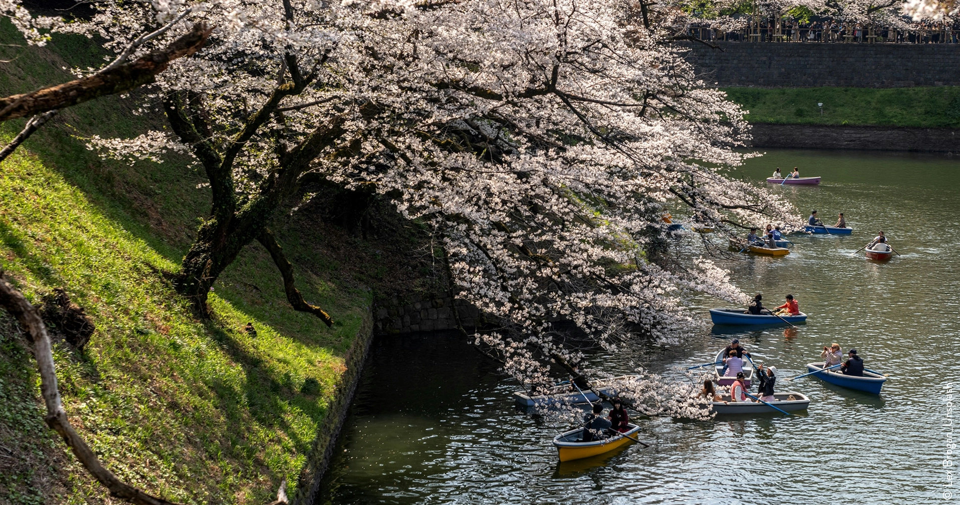 Douves_Tokyo_Chiyoda_Tokyo_Japan