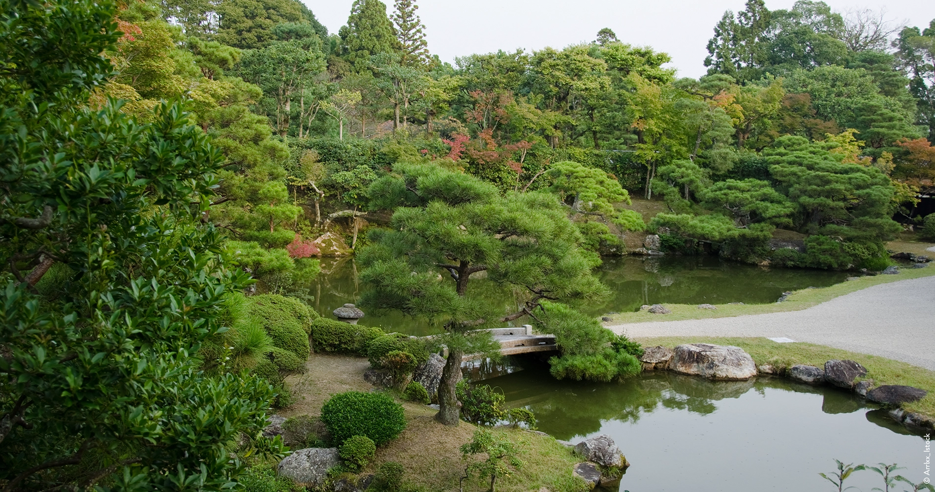 Jardin japonais au ninna-ji temple de Kyoto