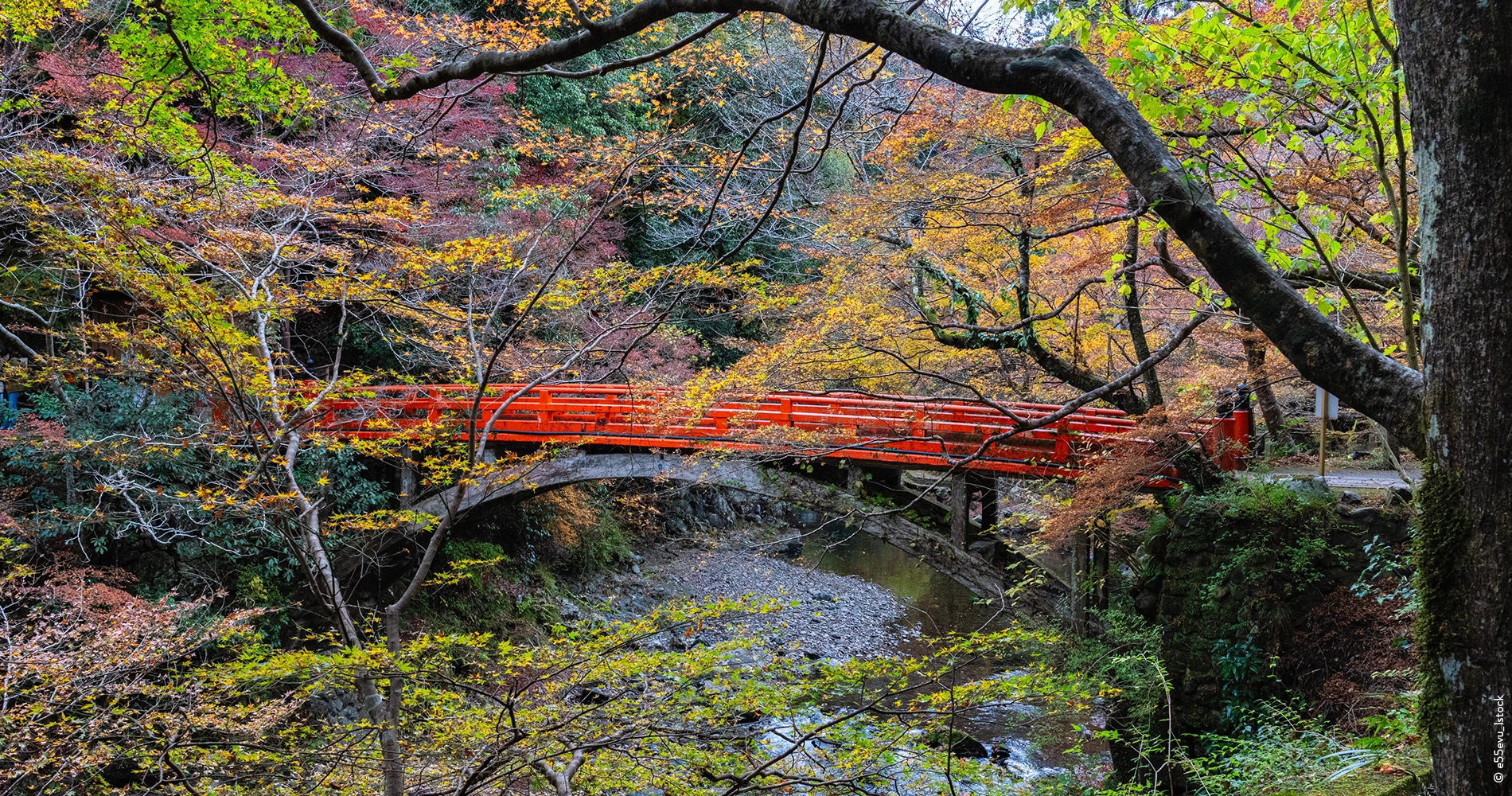 Takao_Quartier_Ukyo_Kyoto_Japon