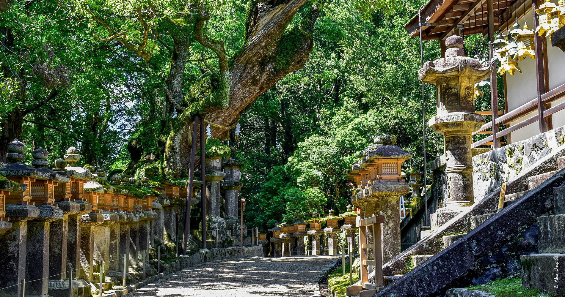 Kasuga_taisha_Nara