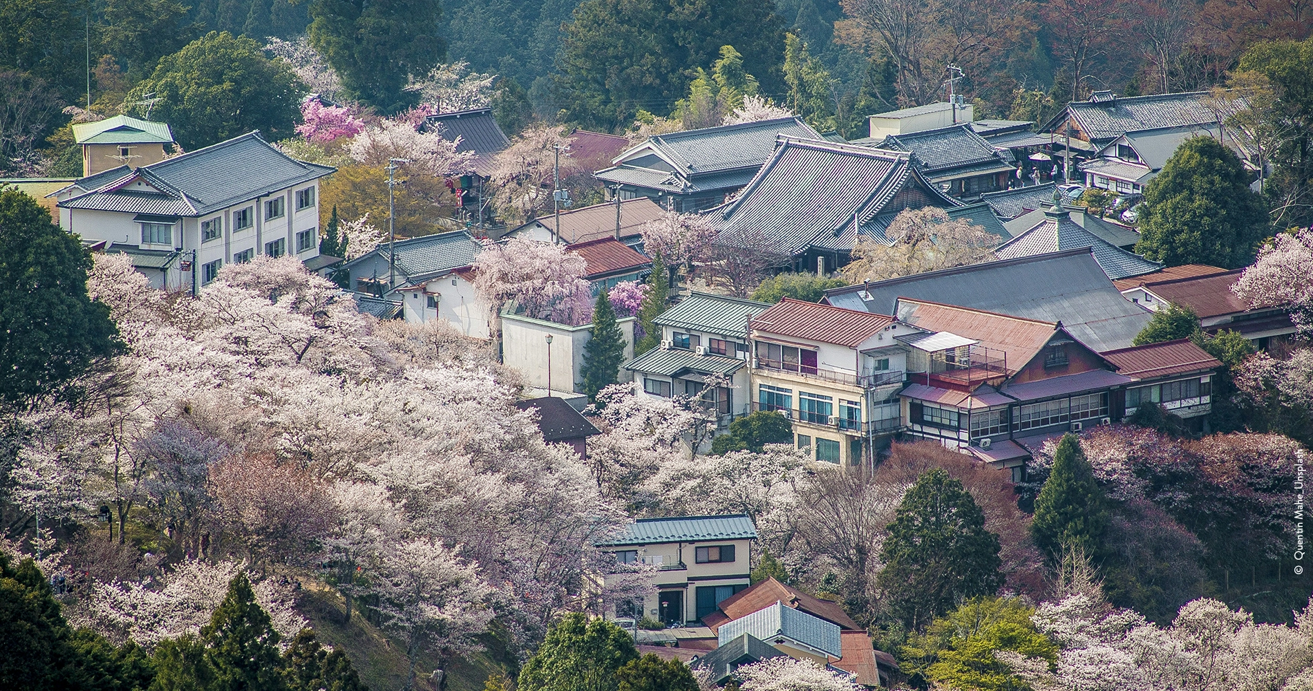 Yoshino_Nara