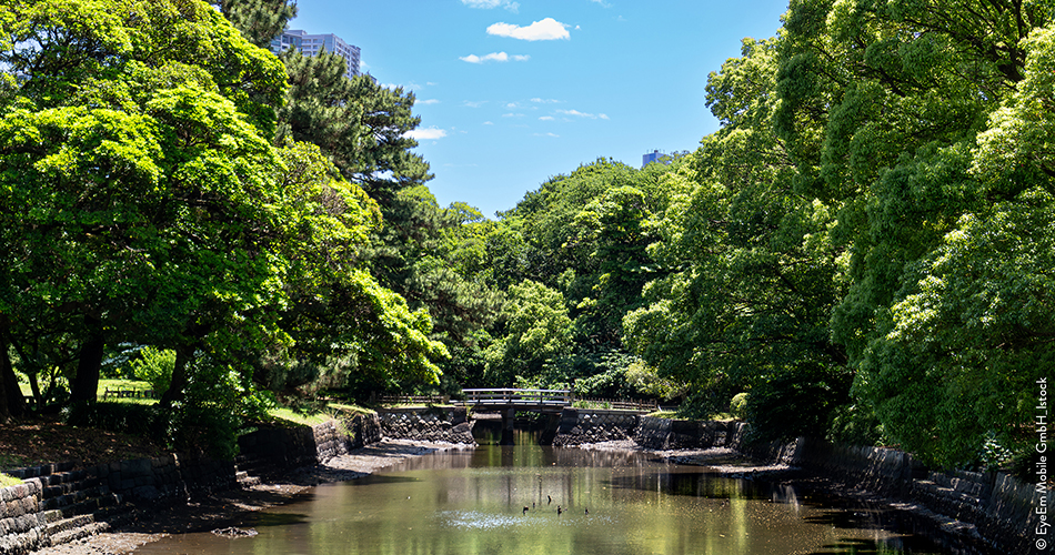 Jardin_Hamarikyu_Tokyo