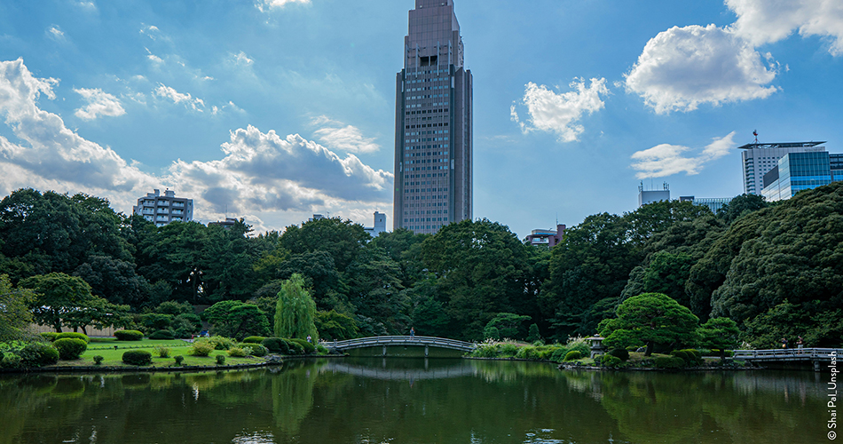 Shinjuku Gyoen National Garden_Tokyo