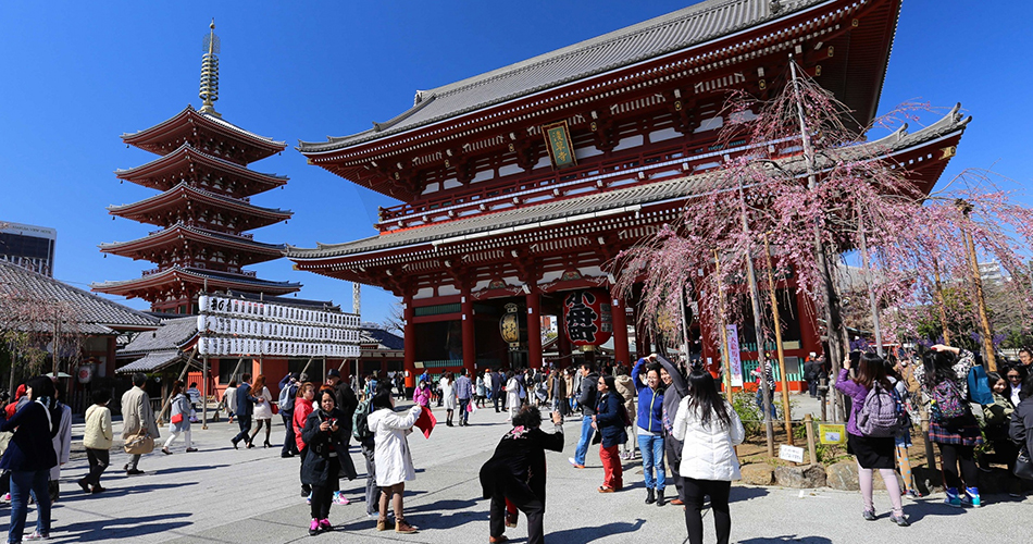 Sensi ji