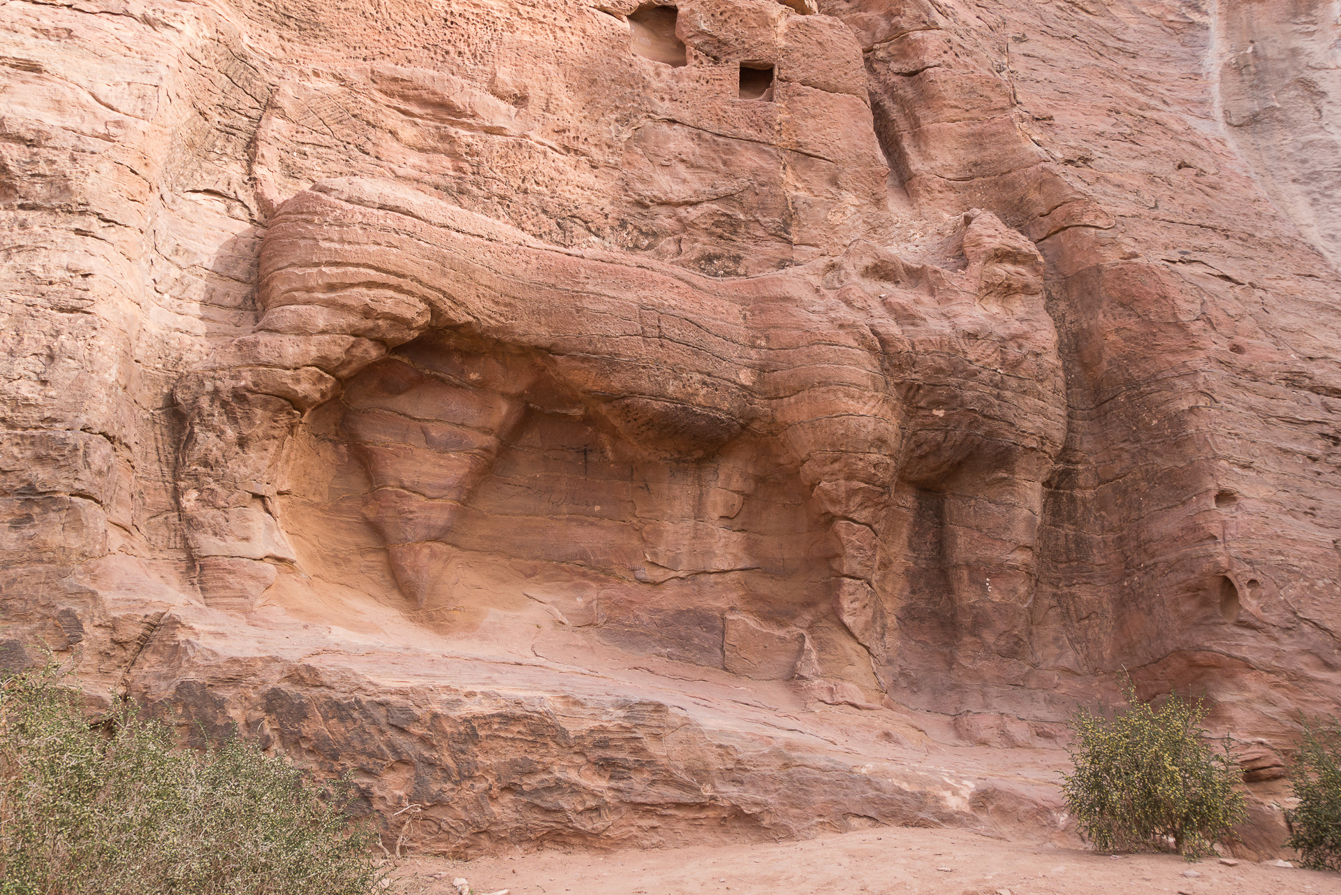 Un lion est sculpté dans la paroi - Une semaine en Jordanie