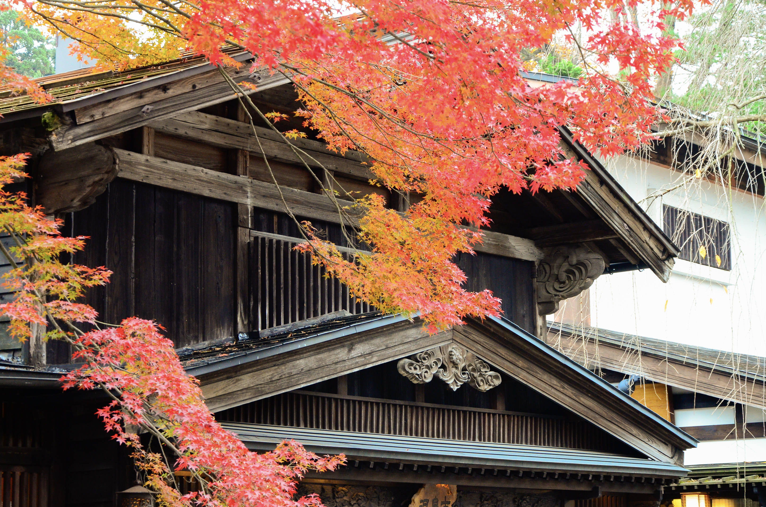 Temple flamboyant automne Japon