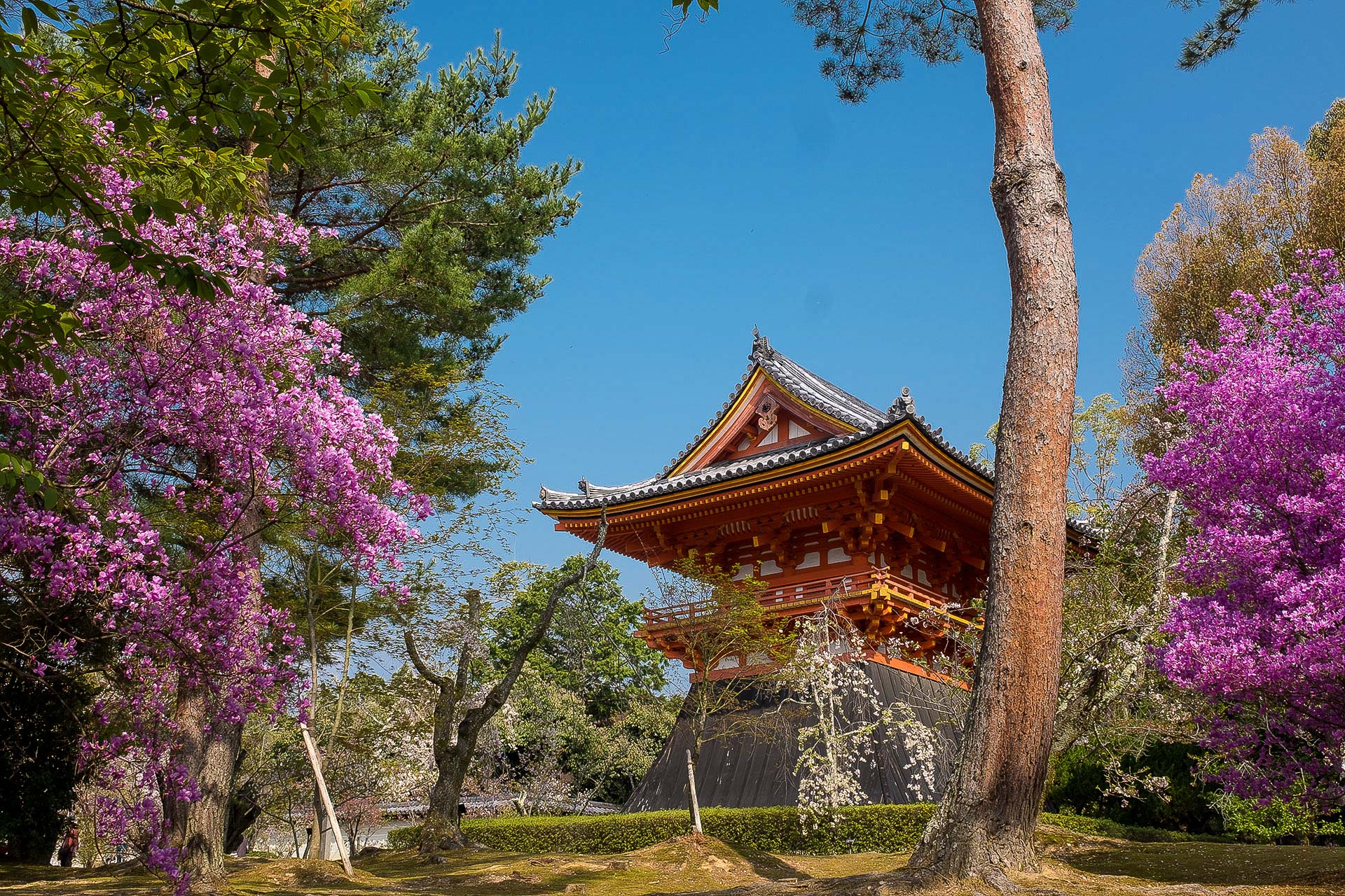 Un petit temple de Ninna-ji