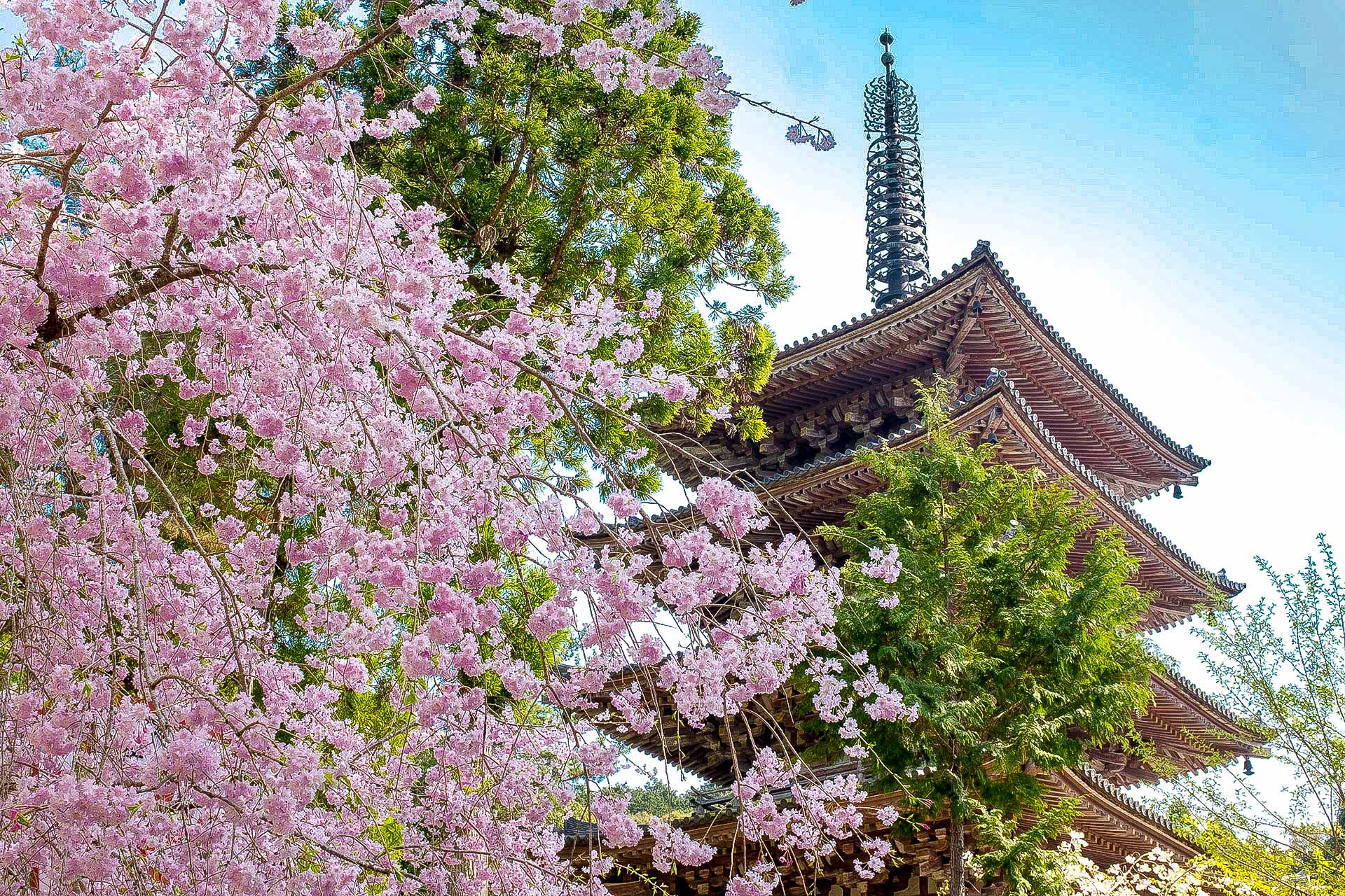 Pagode de Daigo-ji