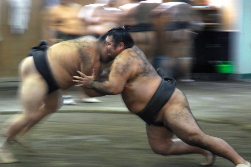 SUMO