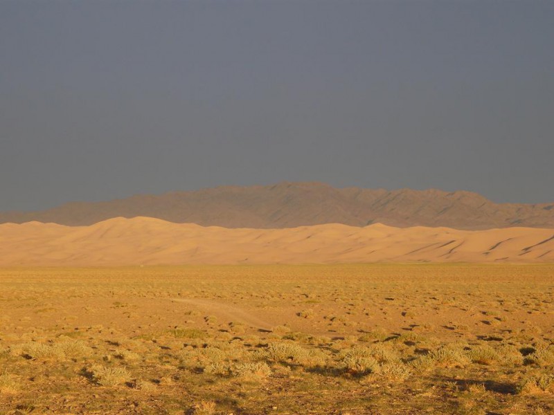 gobi mongolie