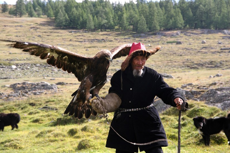 aiglier kazakhs mongolie altaï