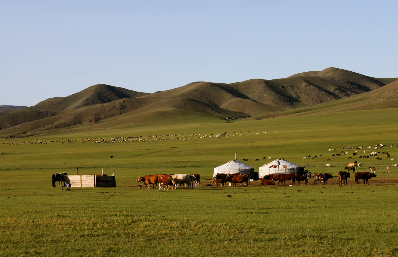 Mongolie