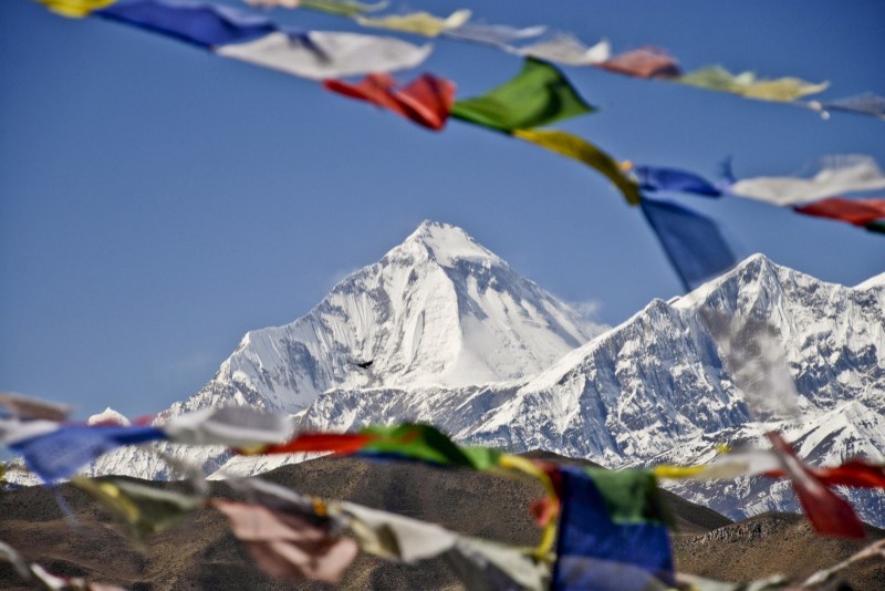 Vue sur les Dhaulagiri sur le tour des Annapurnas