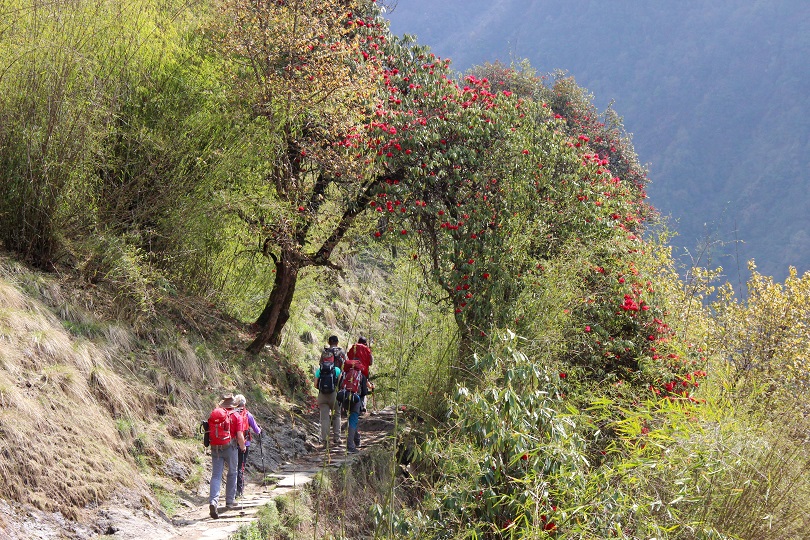 Retour du Sanctuaire des Annapurnas