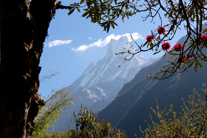 Retour du Sanctuaire des Annapurnas