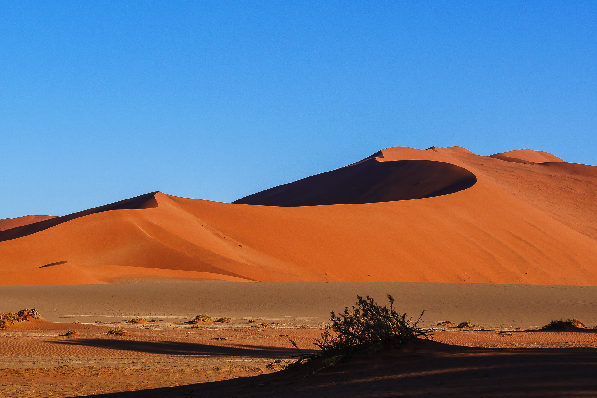 Sossusvlei et Deadvlei