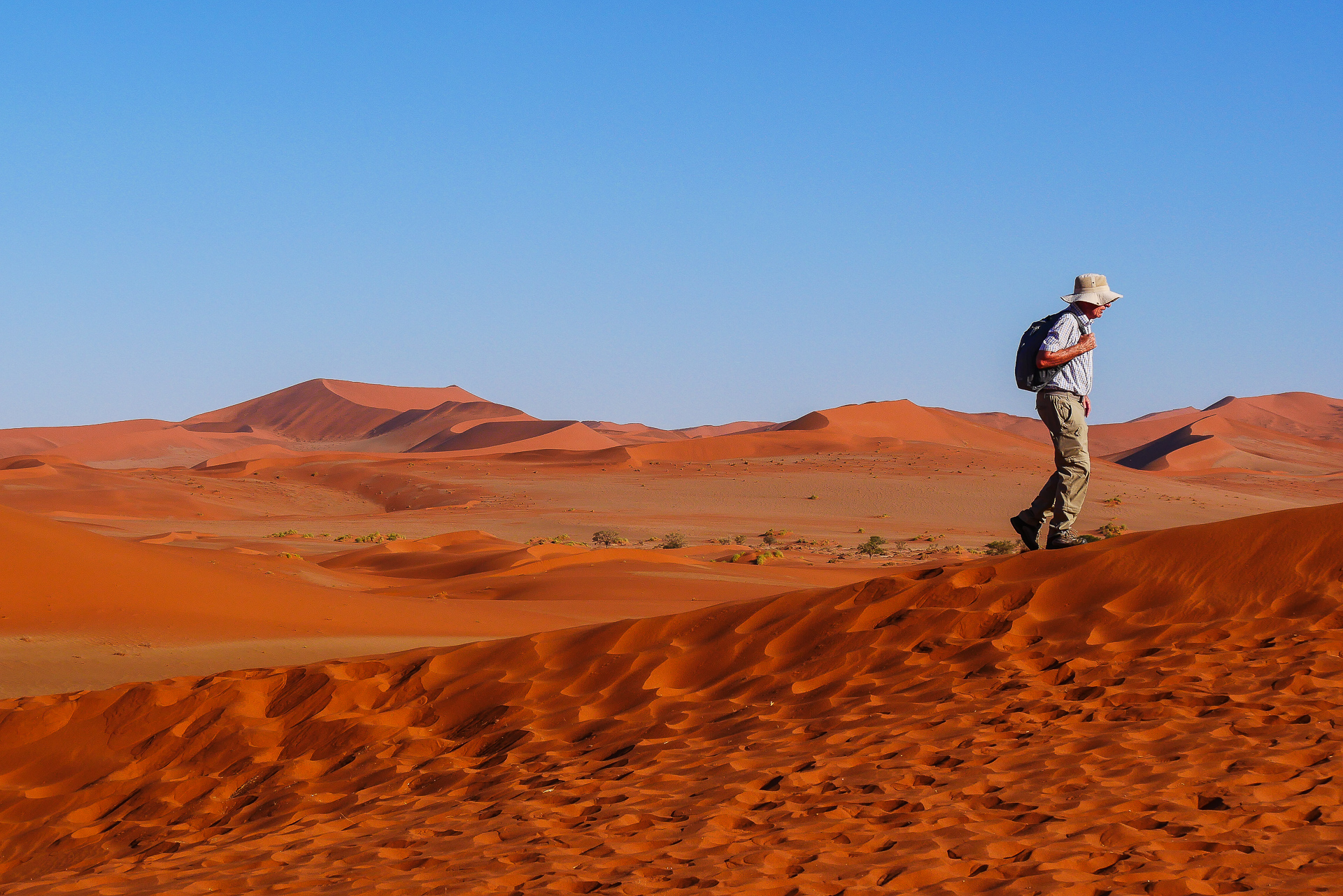 Sossusvlei et Deadvlei