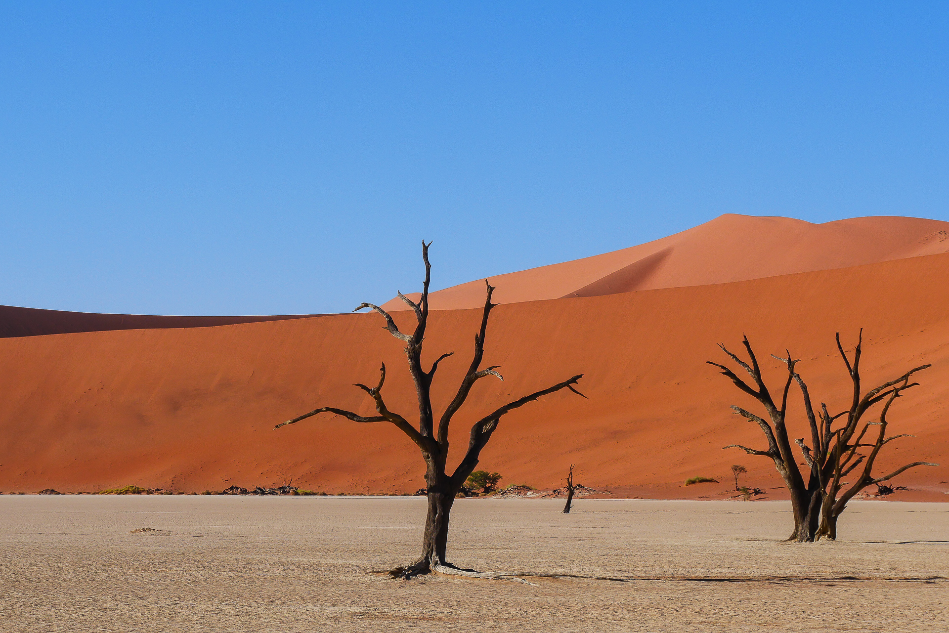 Sossusvlei et Deadvlei