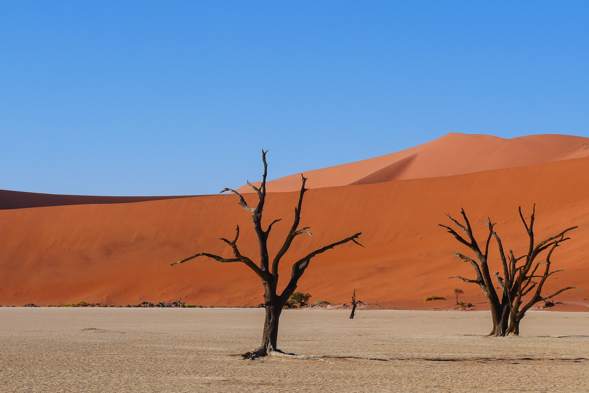 Sossusvlei et Deadvlei