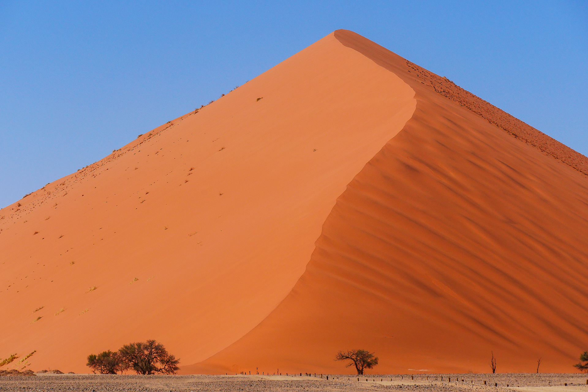 Sossusvlei et Deadvlei