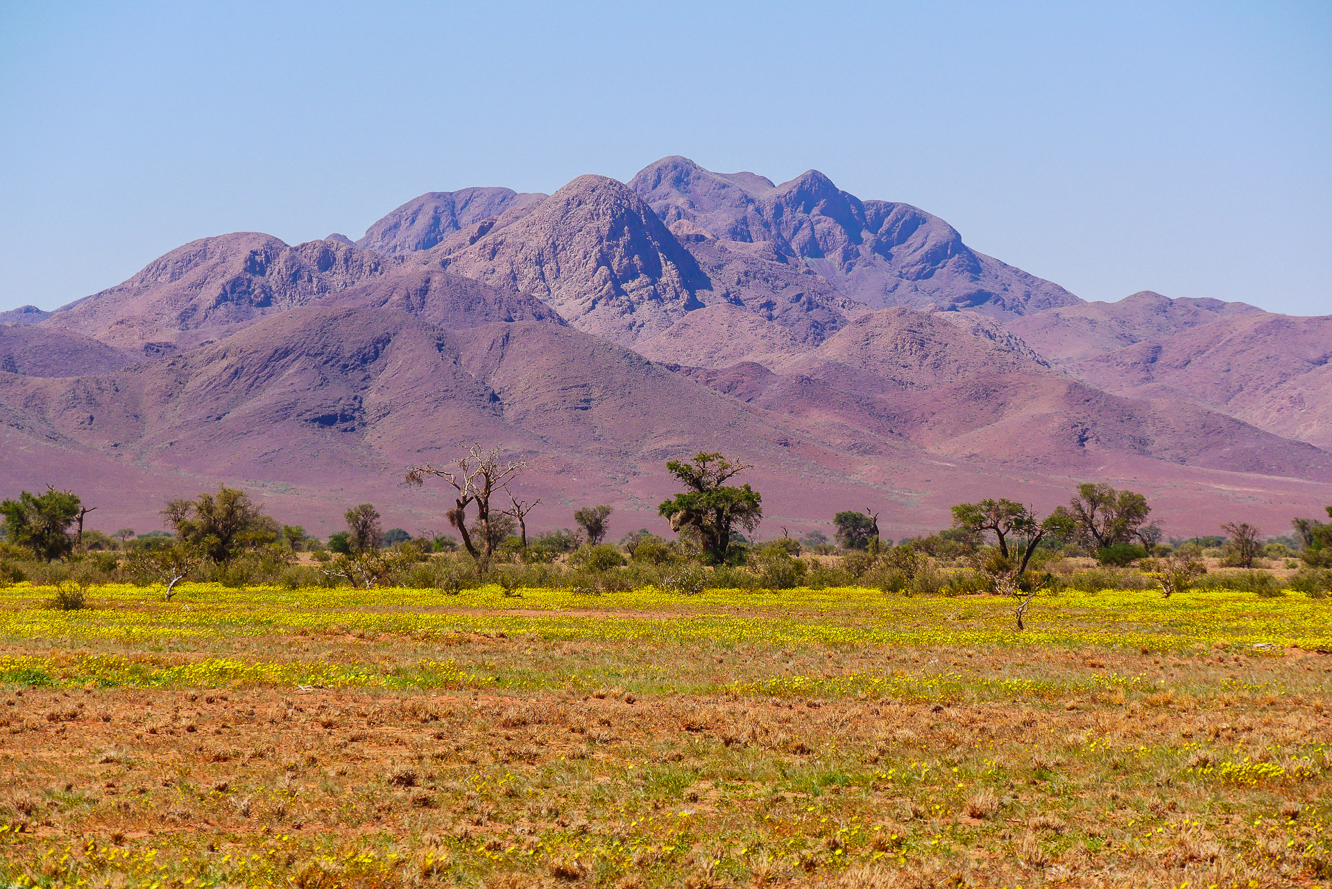 namib rand