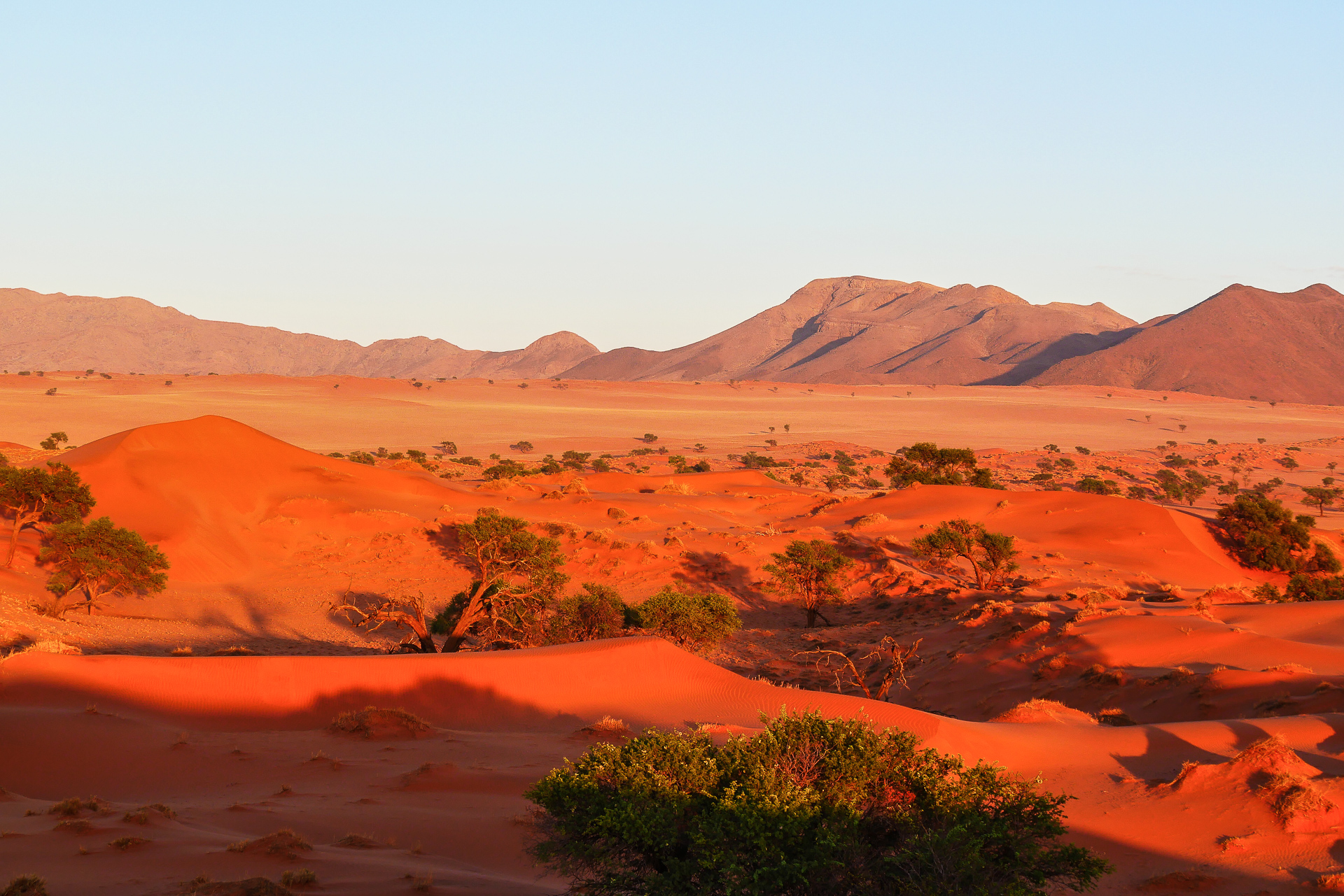 desert du Namib rand 