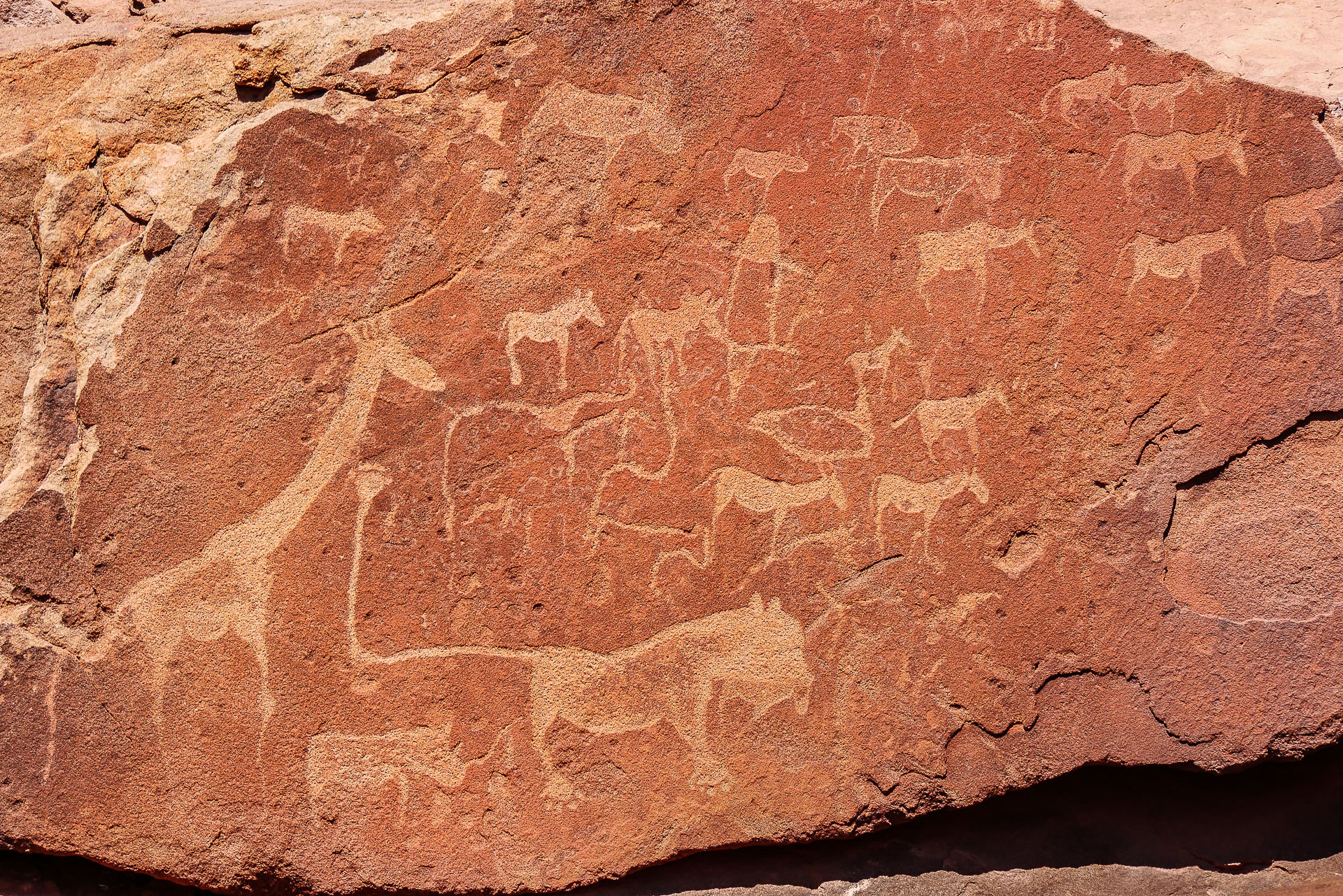 gravure rupestre de Twyfelfontein site classé unesco - namibie