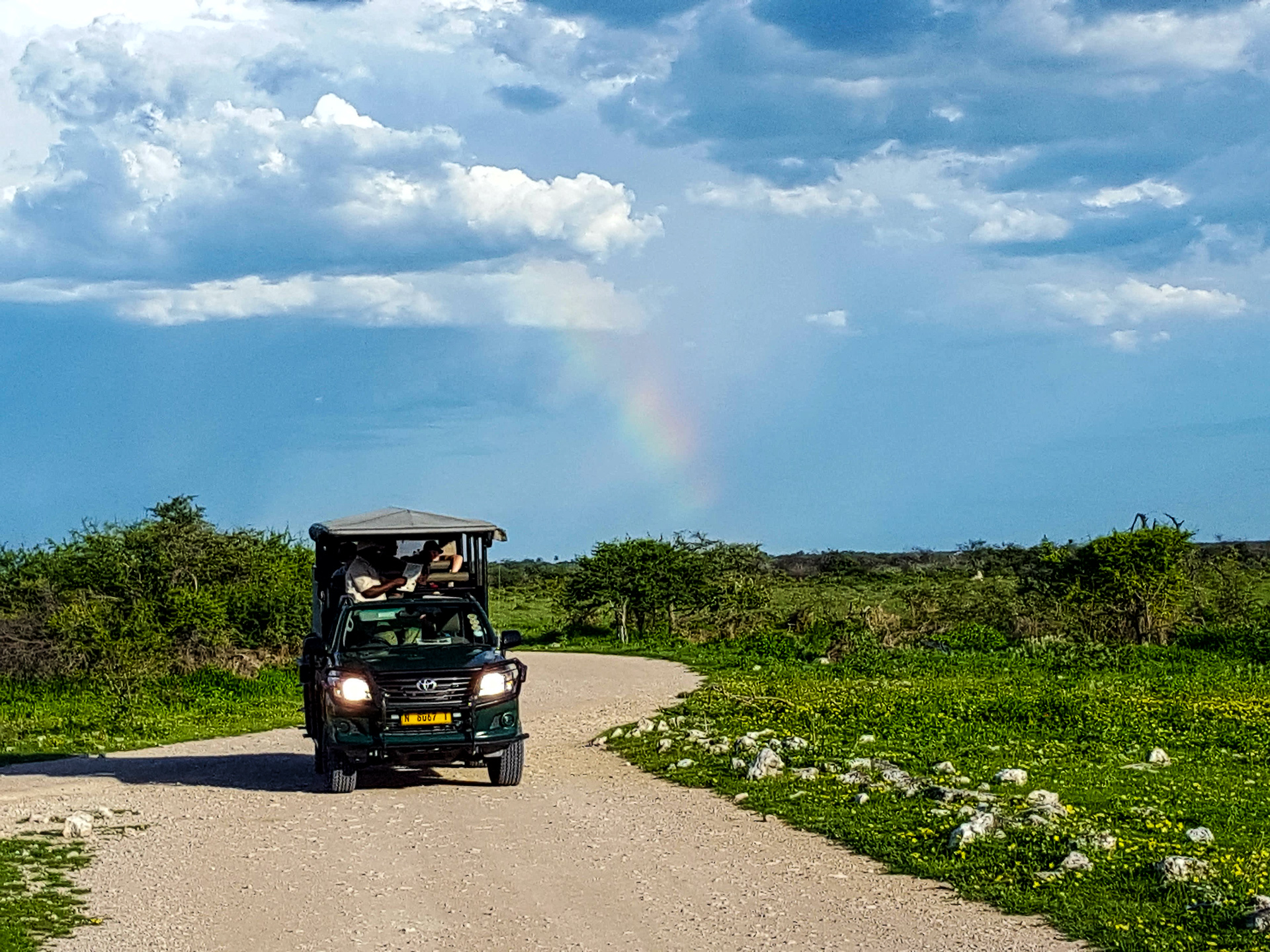 game drive parc d'etosha