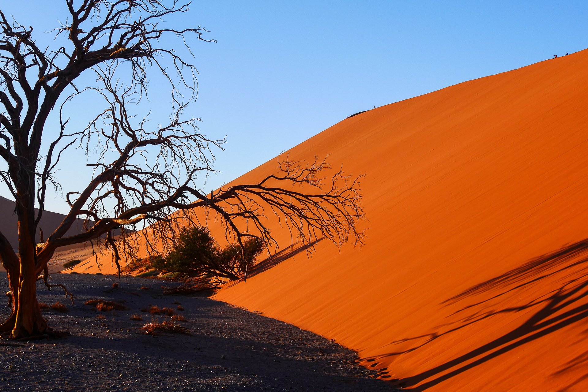 dune 45 Sossusvlei