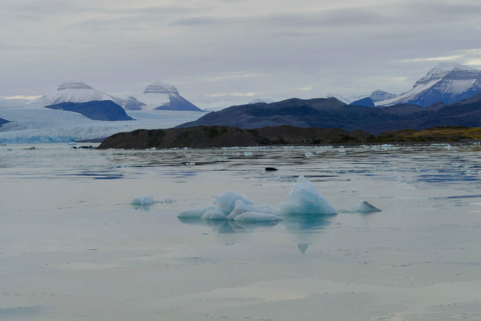 Icebergs velés par le glacier Baie du Roi Spitzberg